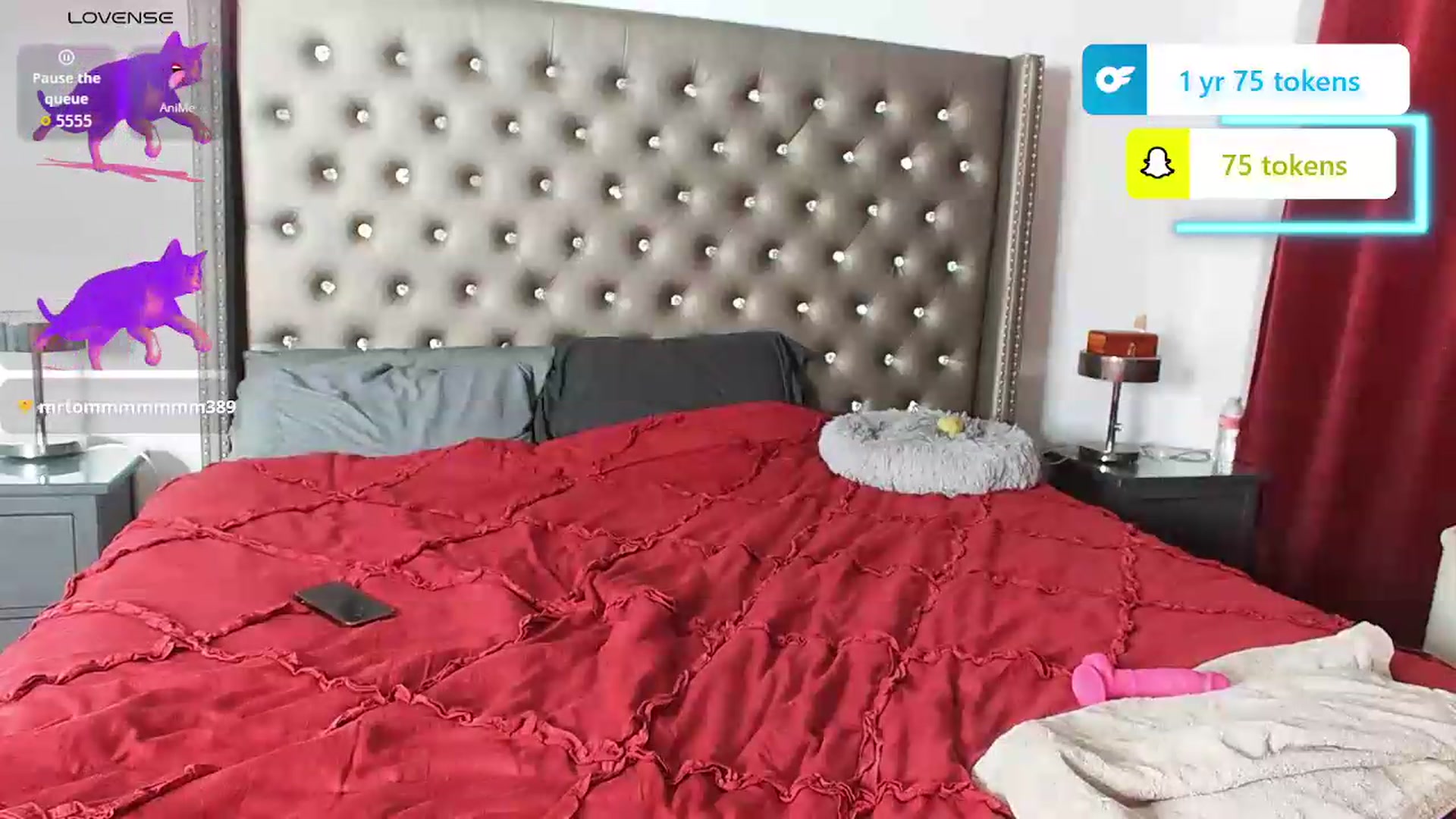 Gallery image thumbnail from Kezzlovesyou's myfreecams stream on, 08/07/2026, 04:55 image 16 of 20