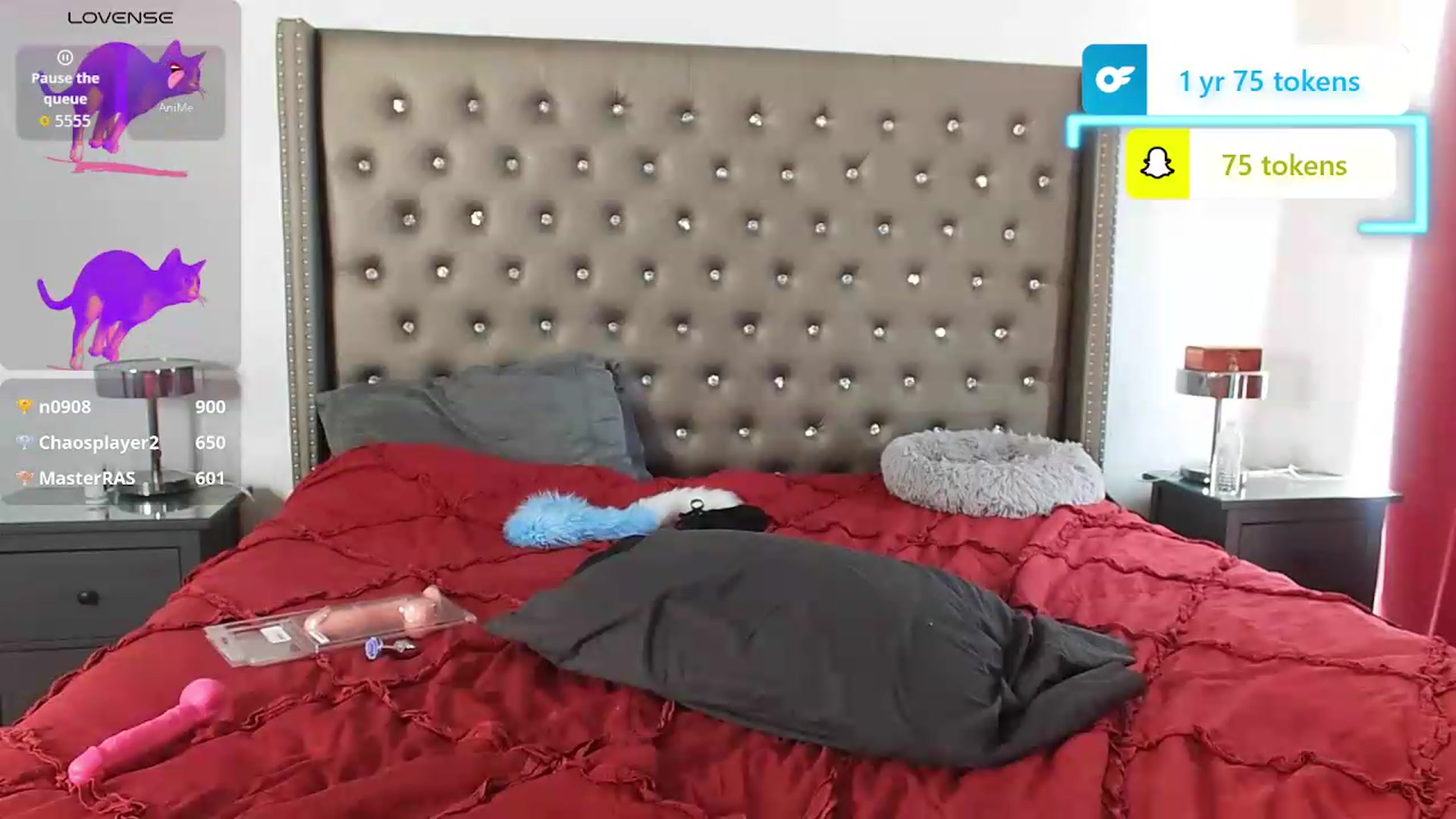 Gallery image thumbnail from Kezzlovesyou's myfreecams stream on, 08/20/2026, 22:04 image 11 of 20