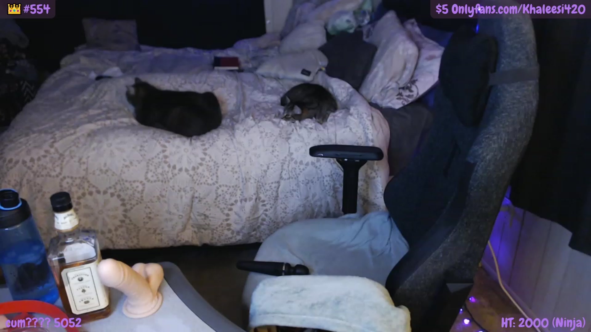 Gallery image thumbnail from Khaleesi420's myfreecams stream on, 12/04/2022, 13:26 image 2 of 20