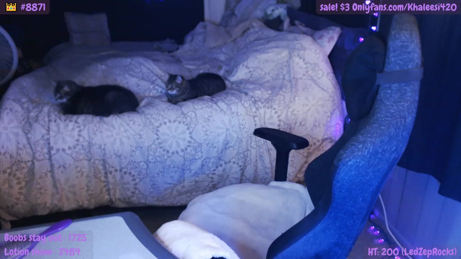 Gallery image thumbnail from Khaleesi420's myfreecams stream on, 03/18/2023, 12:08 image 6 of 20