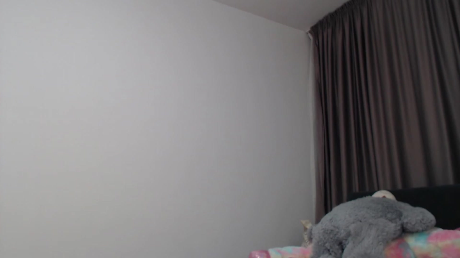 Gallery image thumbnail from Khateee's myfreecams stream on, 12/26/2022, 03:53 image 15 of 20