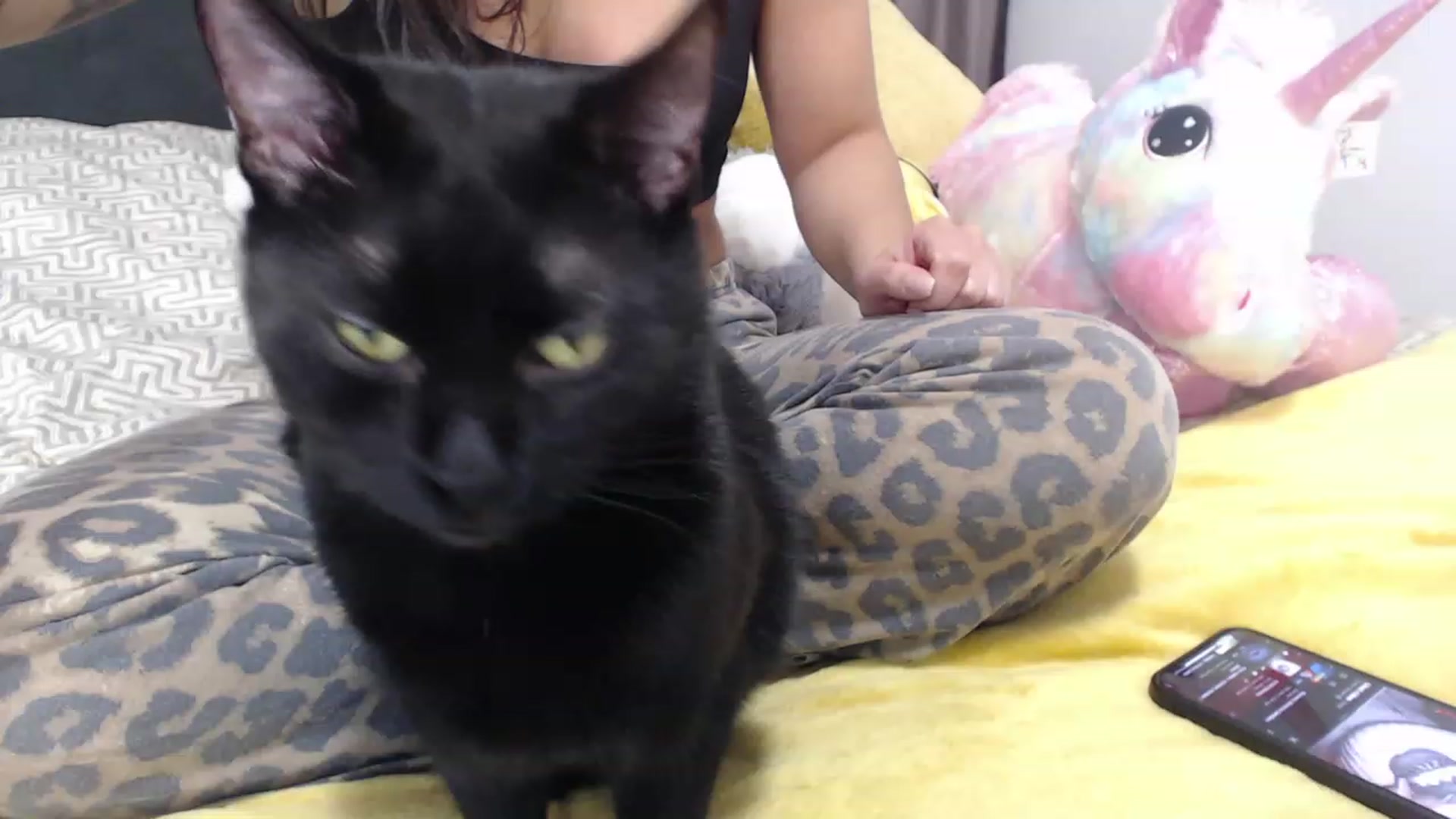 Gallery image thumbnail from Khateee's myfreecams stream on, 12/27/2022, 16:34 image 9 of 20