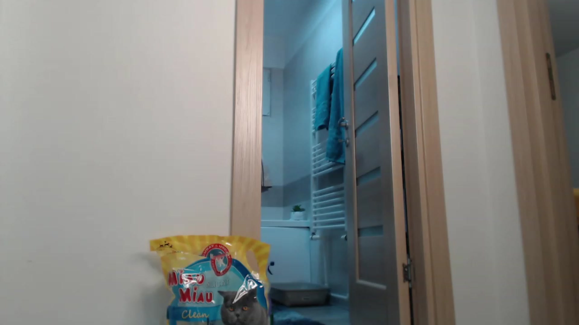 Gallery image thumbnail from Khateee's myfreecams stream on, 01/02/2023, 15:05 image 11 of 20
