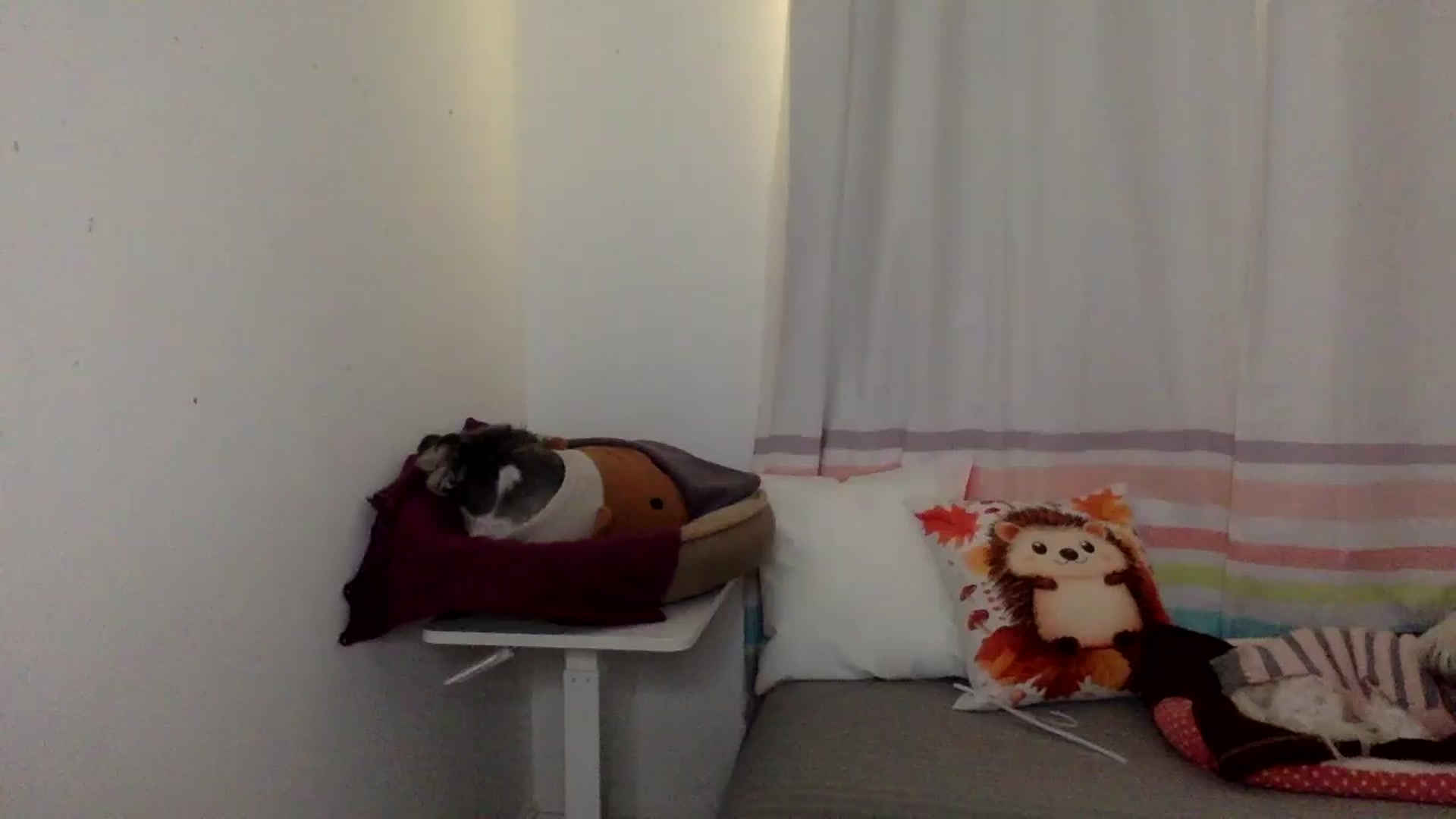Gallery image thumbnail from Khlovember's myfreecams stream on, 11/06/2025, 15:58 image 2 of 20