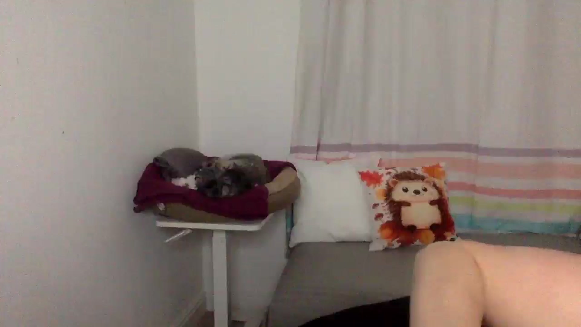 Gallery image thumbnail from Khlovember's myfreecams stream on, 11/13/2025, 19:31 image 17 of 20