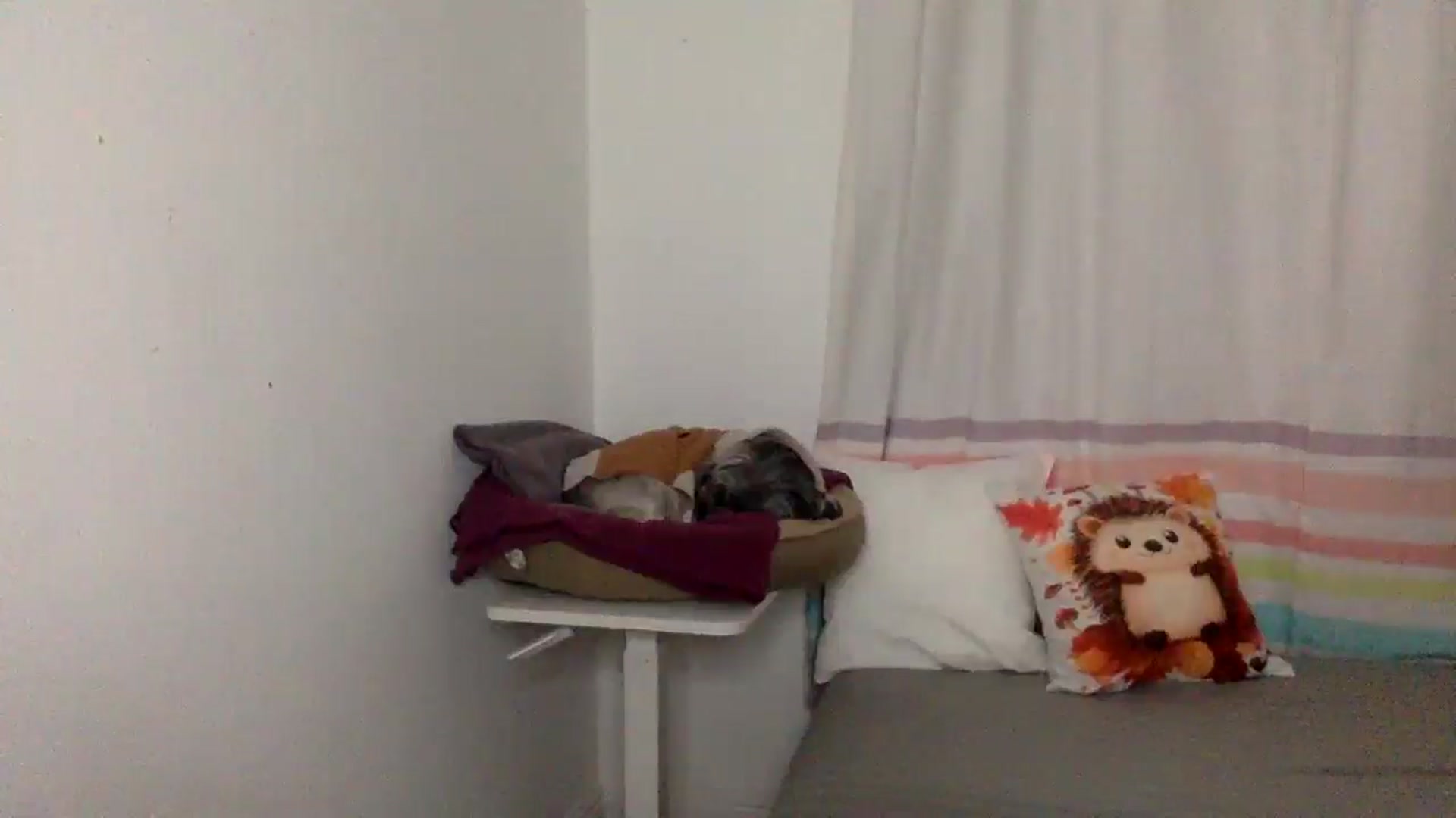 Gallery image thumbnail from Khlovember's myfreecams stream on, 11/14/2025, 16:06 image 12 of 20