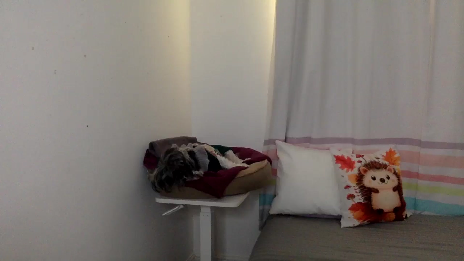 Gallery image thumbnail from Khlovember's myfreecams stream on, 11/20/2025, 15:12 image 16 of 20