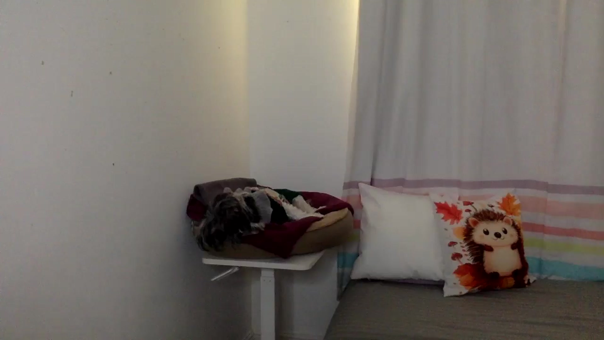 Gallery image thumbnail from Khlovember's myfreecams stream on, 11/20/2025, 15:12 image 17 of 20