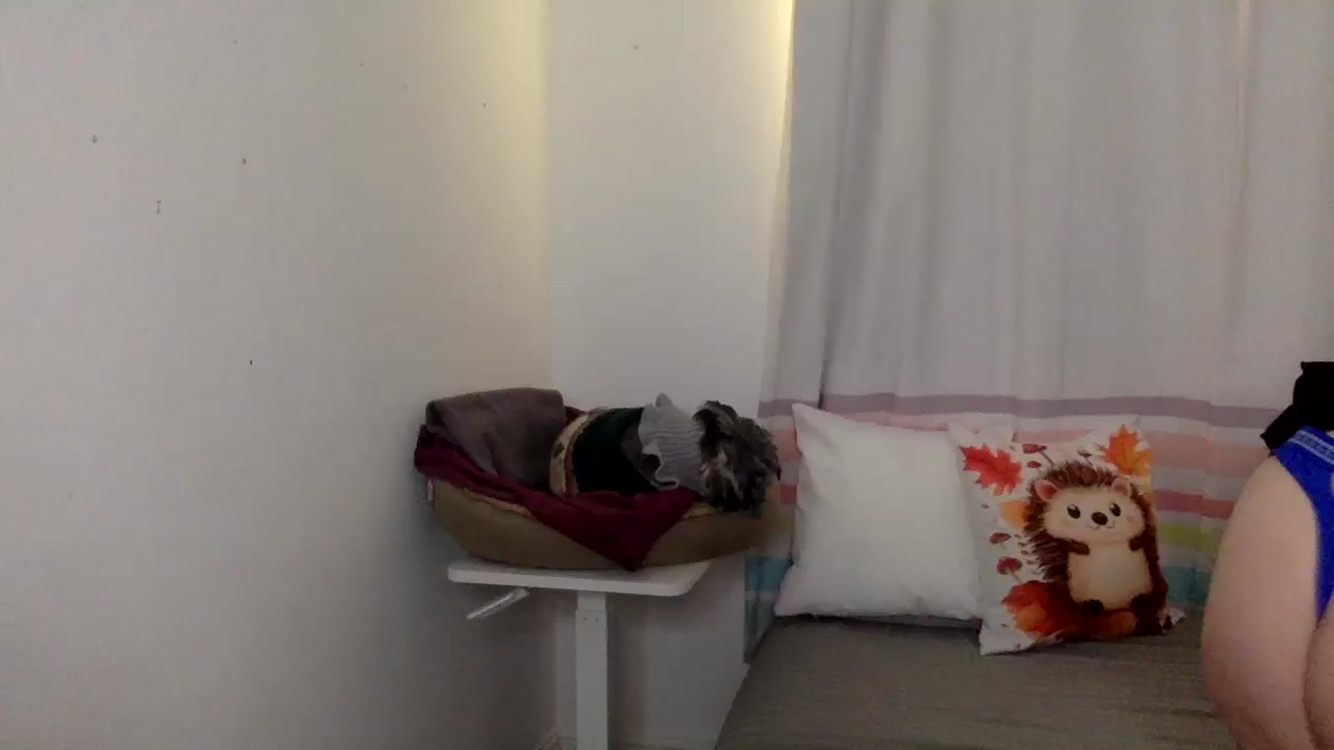 Gallery image thumbnail from Khlovember's myfreecams stream on, 11/20/2025, 15:12 image 19 of 20