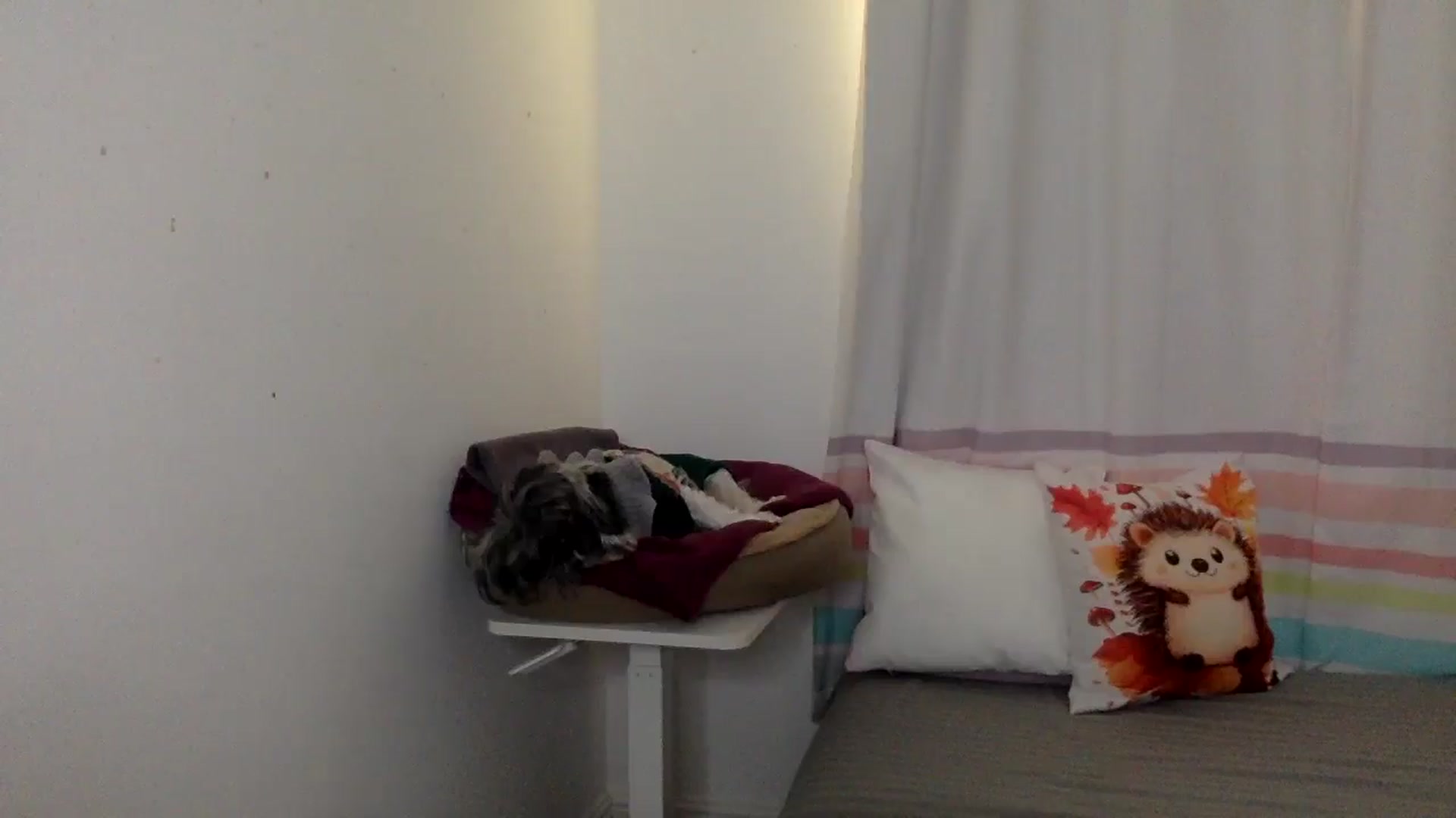 Gallery image thumbnail from Khlovember's myfreecams stream on, 11/20/2025, 15:12 image 15 of 20