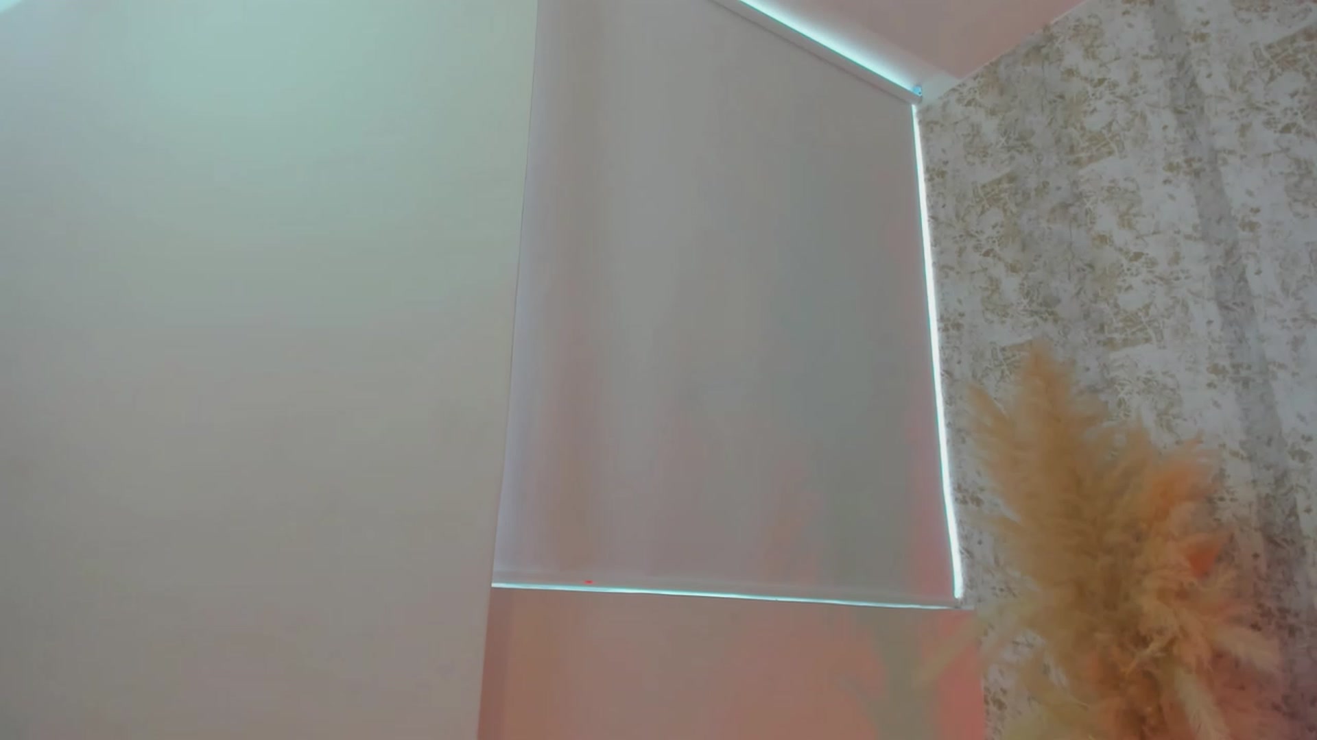 Gallery image thumbnail from KiaraErza_'s myfreecams stream on, 07/11/2023, 16:25 image 10 of 20