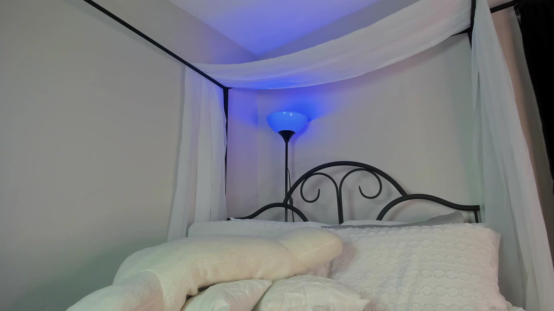 Gallery image thumbnail from Kiera's myfreecams stream on, 08/23/2023, 03:59 image 14 of 20