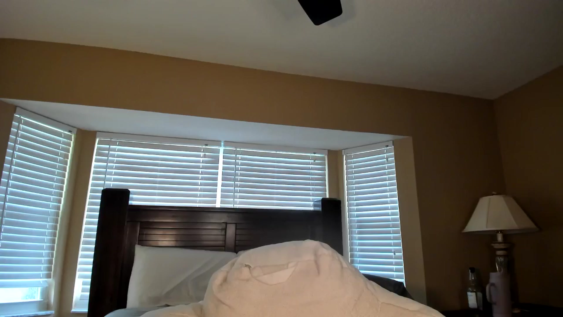 Gallery image thumbnail from Kiera's myfreecams stream on, 08/16/2024, 20:55 image 1 of 20