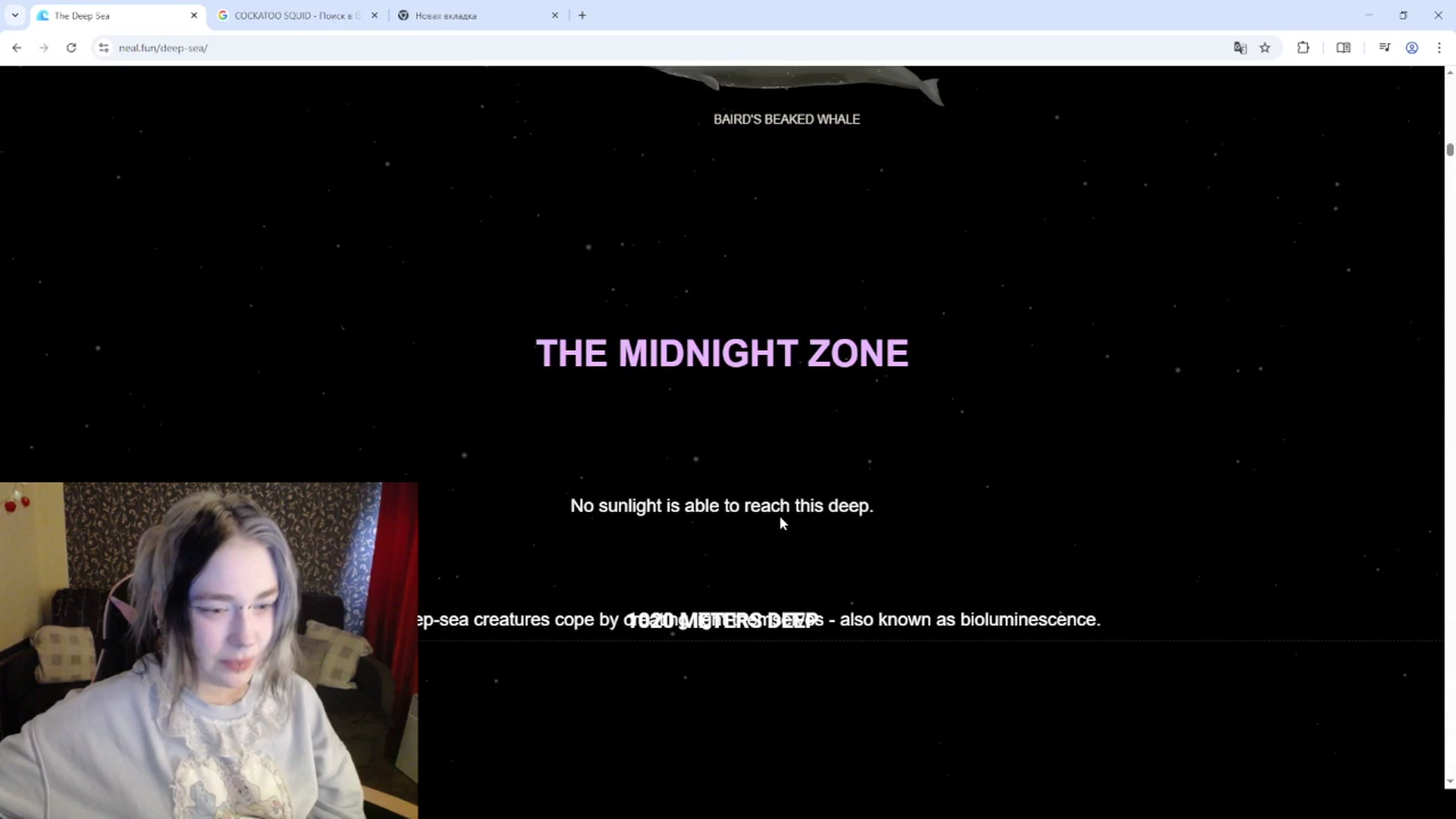 Gallery image thumbnail from Killinna's myfreecams stream on, 10/07/2025, 13:51 image 12 of 20