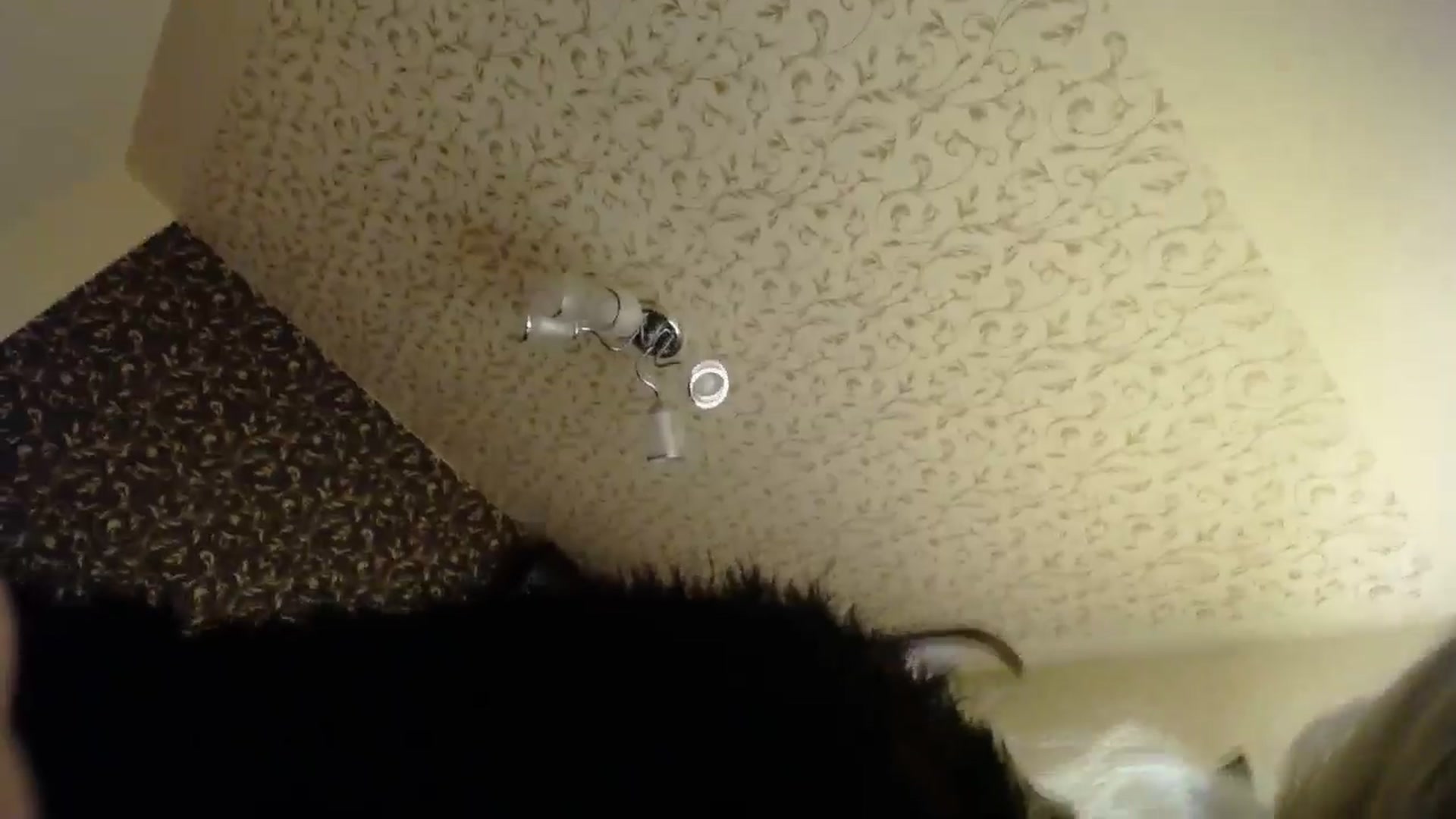 Gallery image thumbnail from Killinna's myfreecams stream on, 10/11/2025, 15:22 image 2 of 20