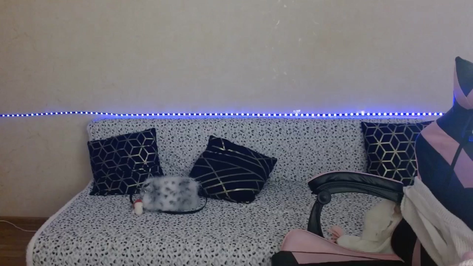 Gallery image thumbnail from Killinna's myfreecams stream on, 03/03/2026, 14:46 image 9 of 20