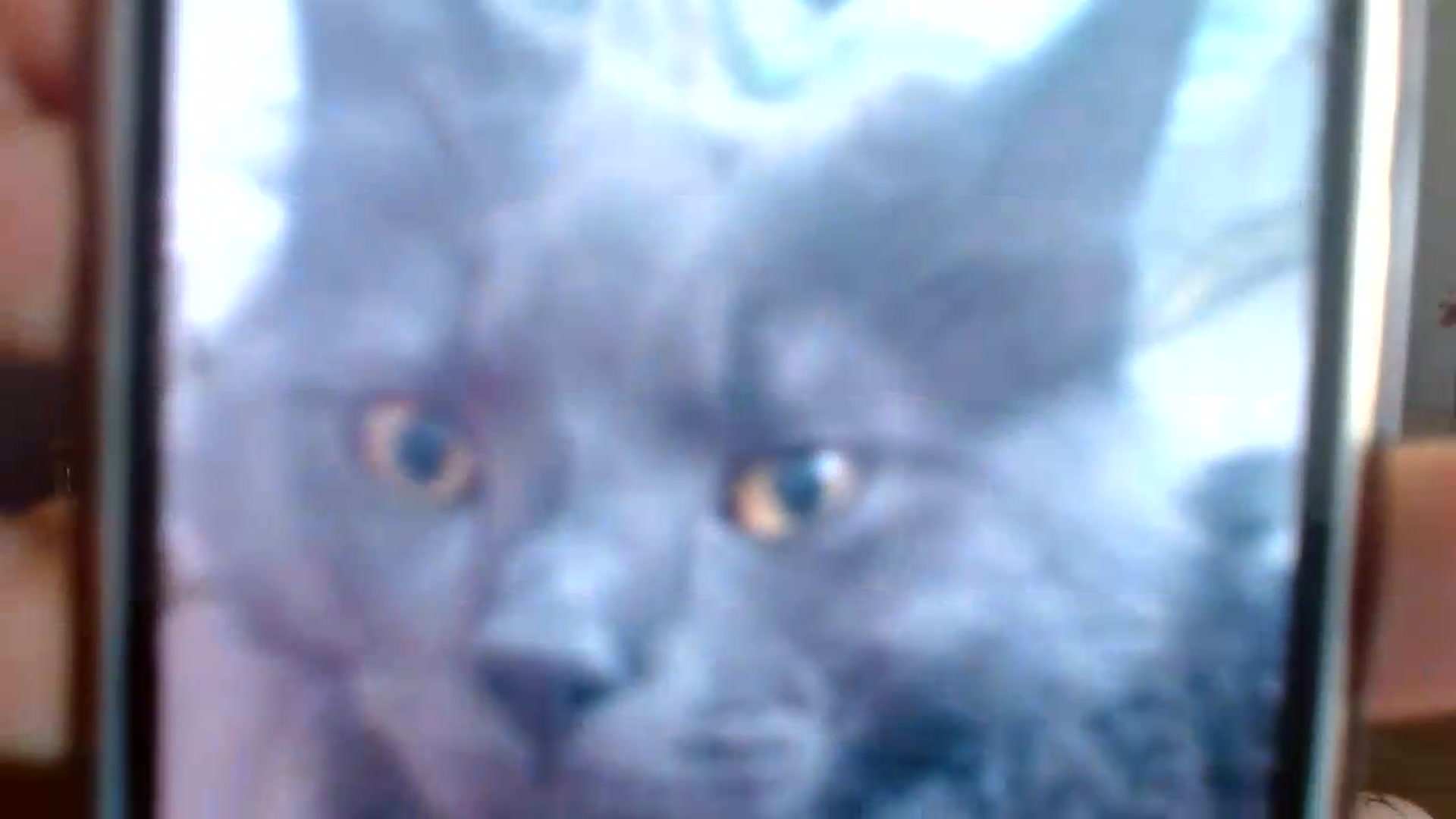 Gallery image thumbnail from Killinna's myfreecams stream on, 06/09/2026, 15:06 image 12 of 20