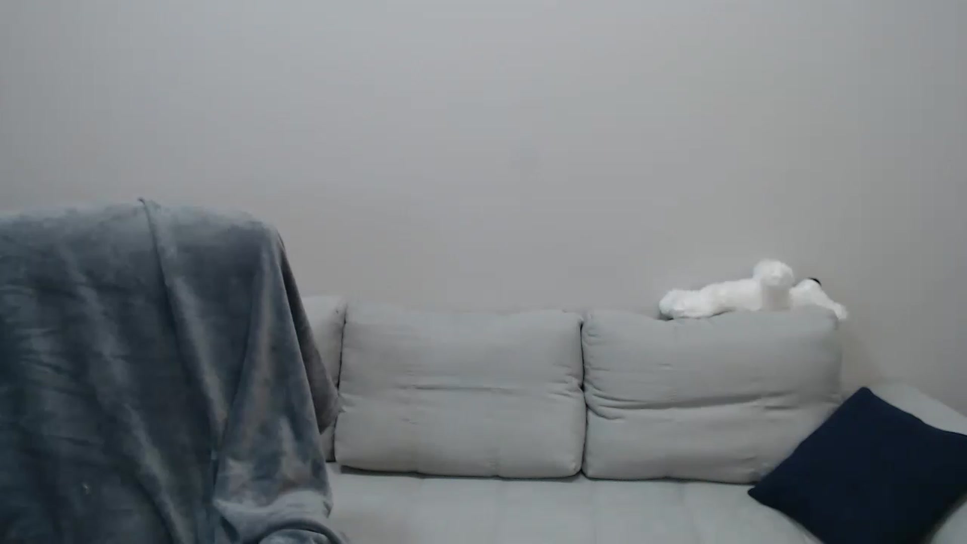 Gallery image thumbnail from KimKalash's myfreecams stream on, 12/02/2022, 16:39 image 4 of 20