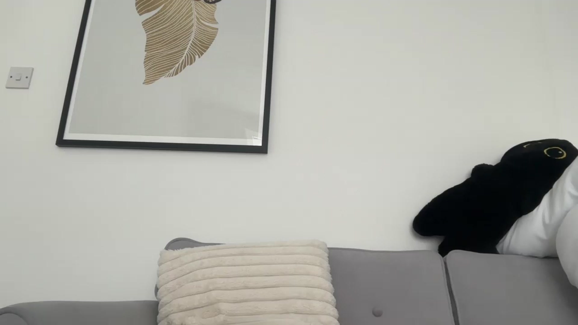 Gallery image thumbnail from KimmiDoka's myfreecams stream on, 10/21/2024, 15:26 image 19 of 20
