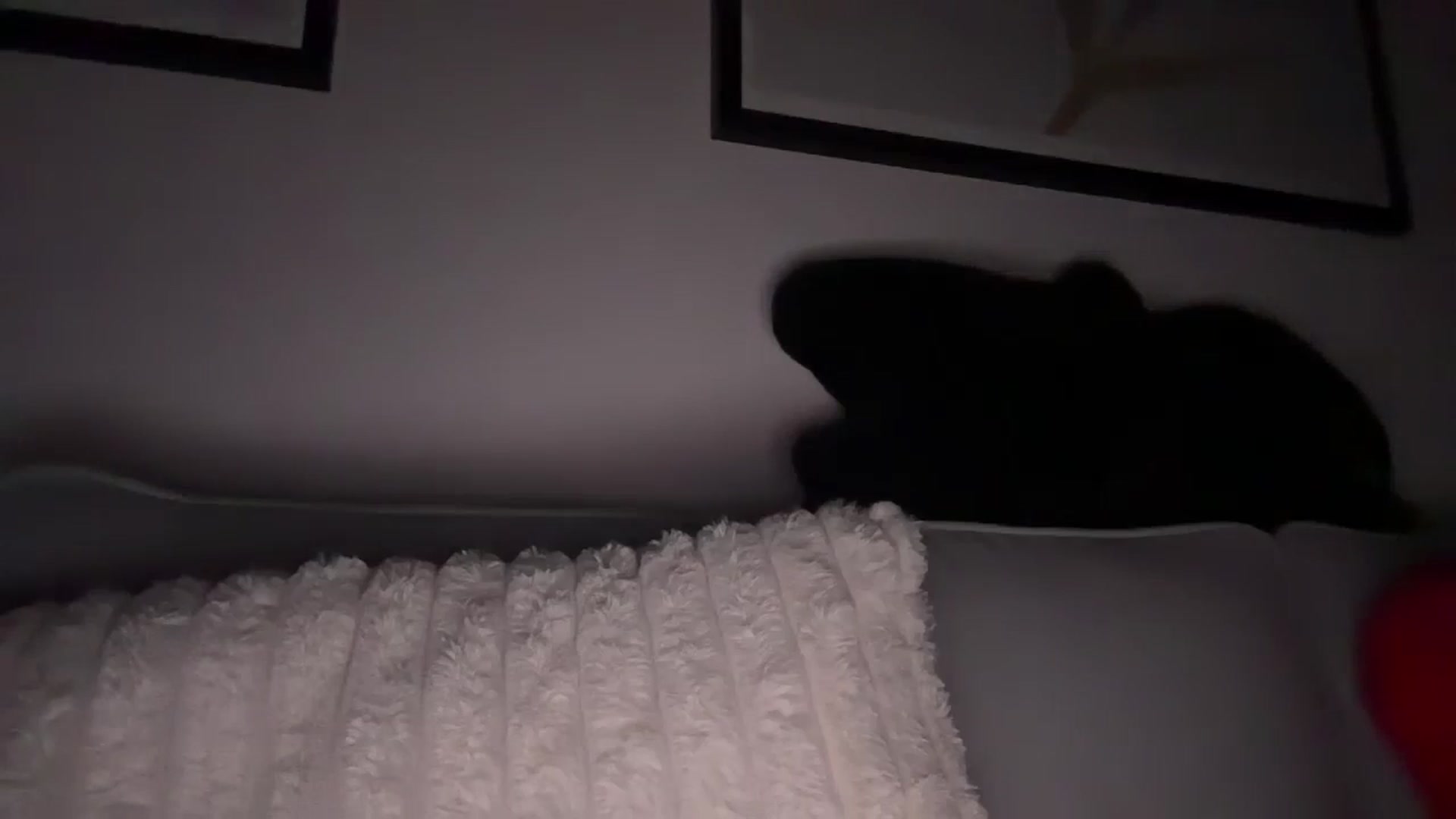 Gallery image thumbnail from KimmiDoka's myfreecams stream on, 11/03/2024, 18:00 image 19 of 20