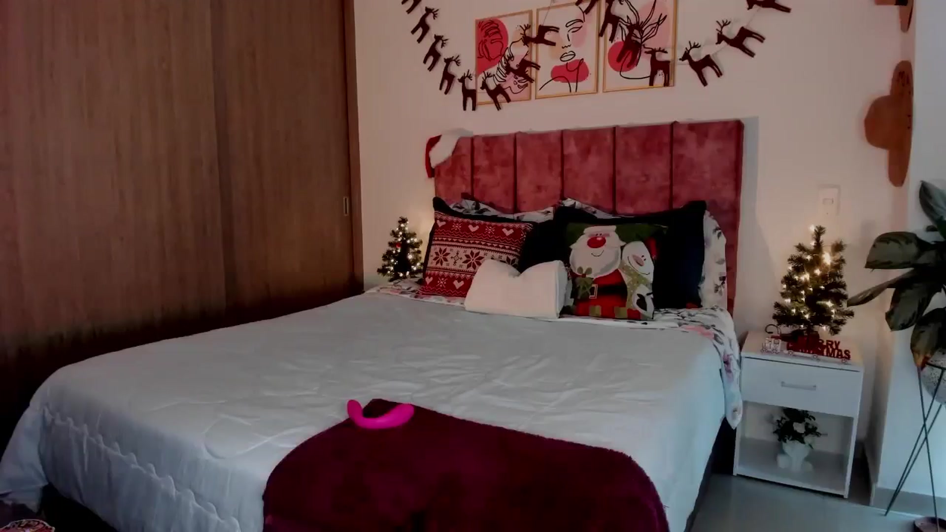 Gallery image thumbnail from Kimsummer25's myfreecams stream on, 12/24/2025, 15:09 image 18 of 20