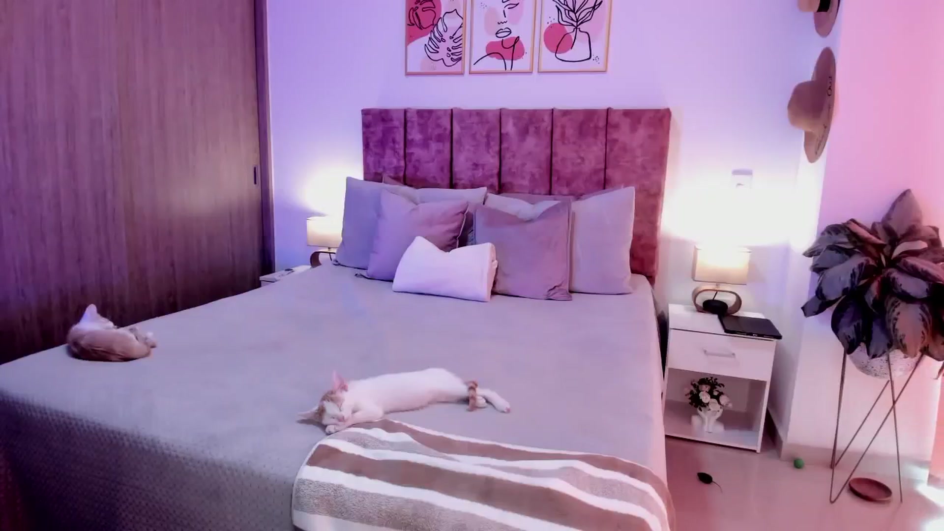 Gallery image thumbnail from Kimsummer25's myfreecams stream on, 04/07/2026, 16:40 image 20 of 20
