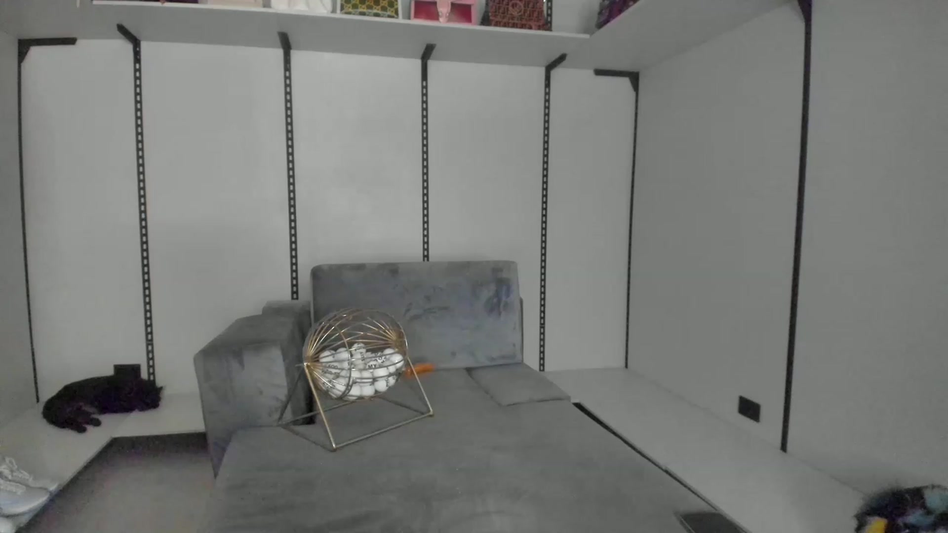 Gallery image thumbnail from Kimtylor_'s myfreecams stream on, 11/20/2022, 02:44 image 10 of 20