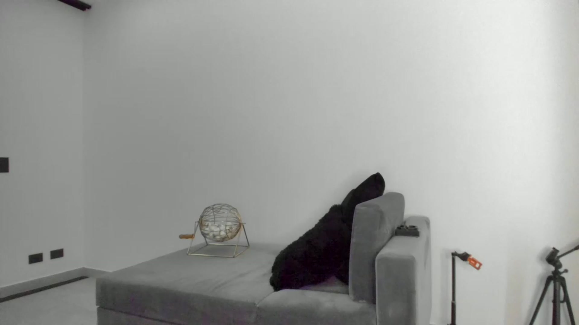 Gallery image thumbnail from Kimtylor_'s myfreecams stream on, 12/24/2022, 03:24 image 6 of 20
