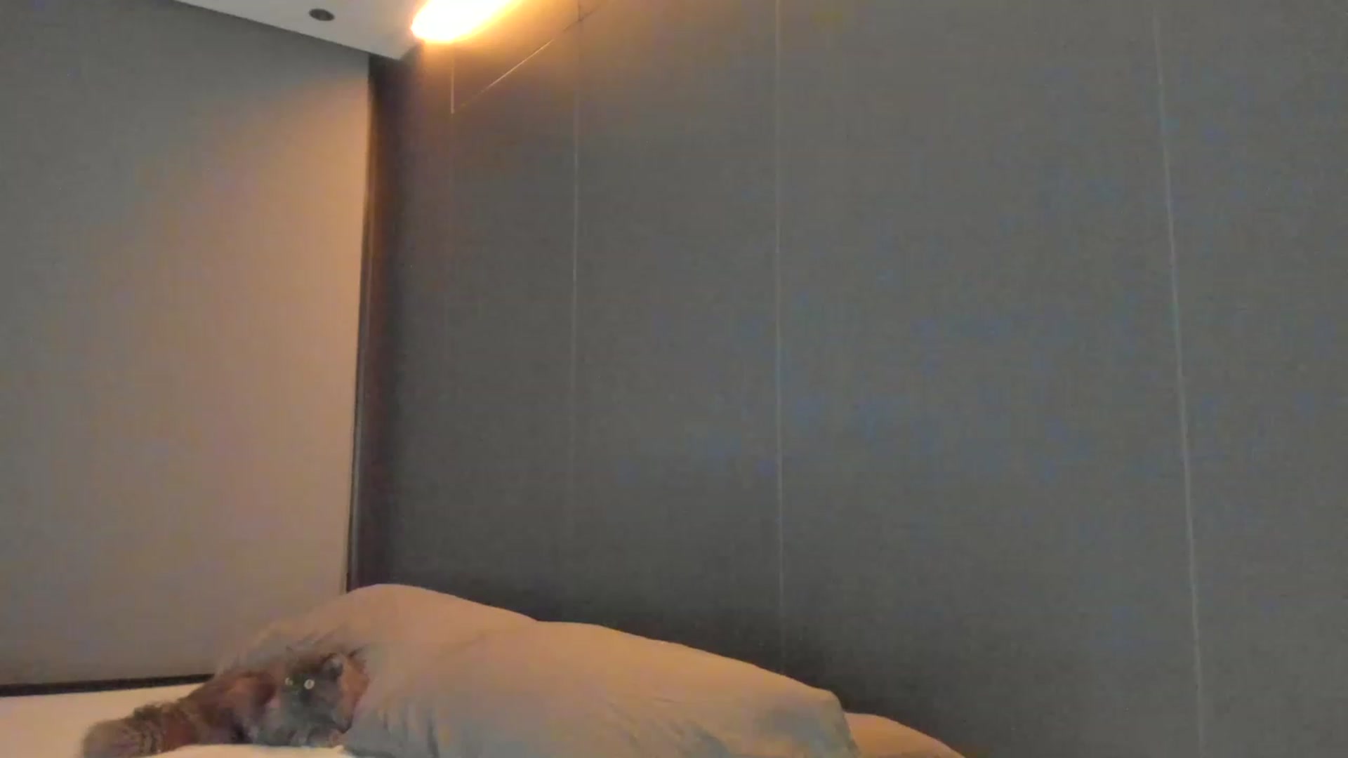 Gallery image thumbnail from Kimtylor_'s myfreecams stream on, 03/25/2023, 04:03 image 1 of 20