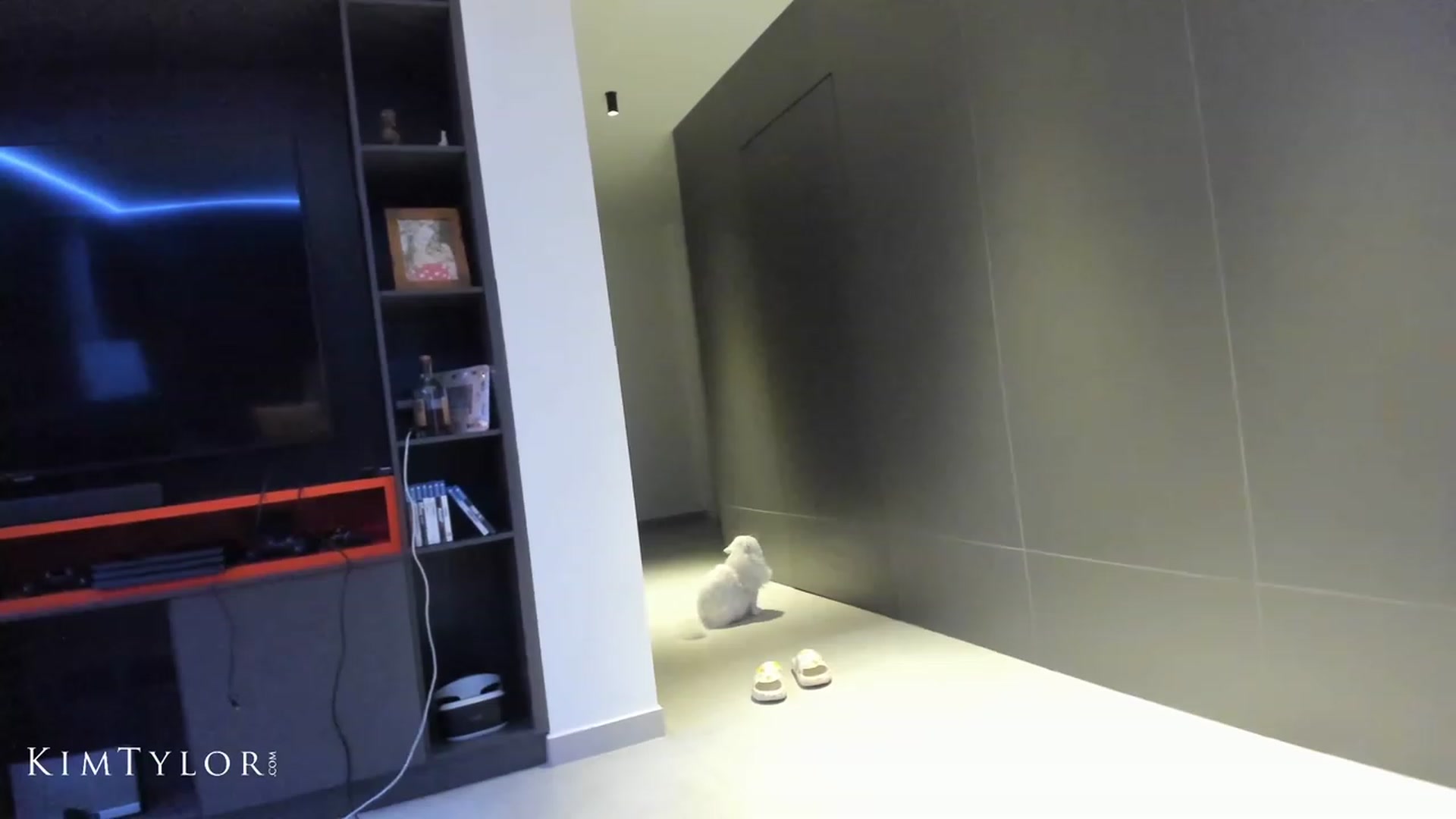 Gallery image thumbnail from Kimtylor_'s myfreecams stream on, 05/11/2023, 03:11 image 3 of 20