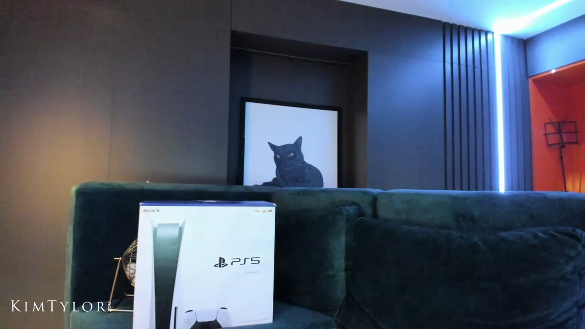 Gallery image thumbnail from Kimtylor_'s myfreecams stream on, 05/11/2023, 03:11 image 11 of 20