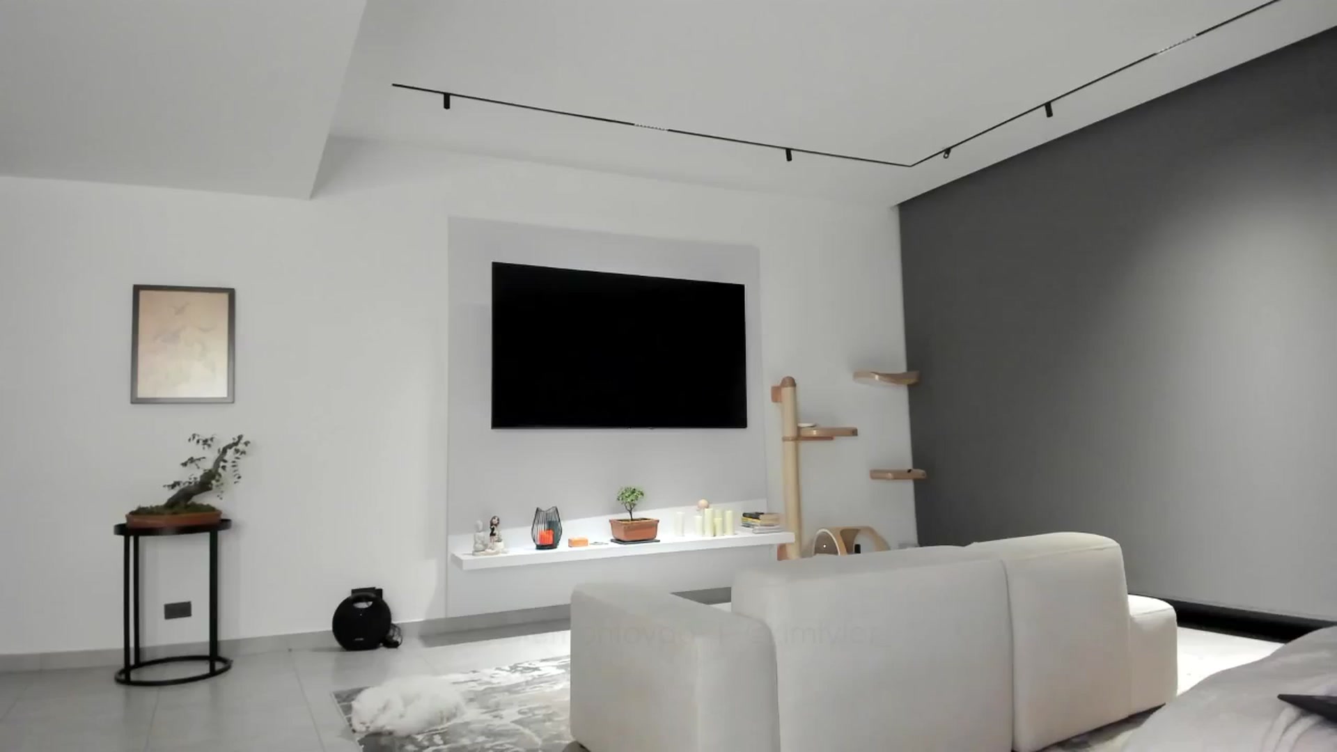 Gallery image thumbnail from Kimtylor_'s myfreecams stream on, 05/26/2024, 02:39 image 19 of 20