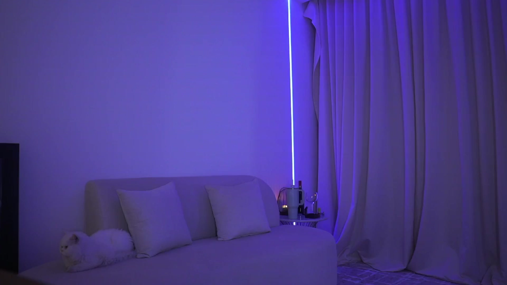 Gallery image thumbnail from Kimtylor_'s myfreecams stream on, 03/21/2025, 04:18 image 2 of 20
