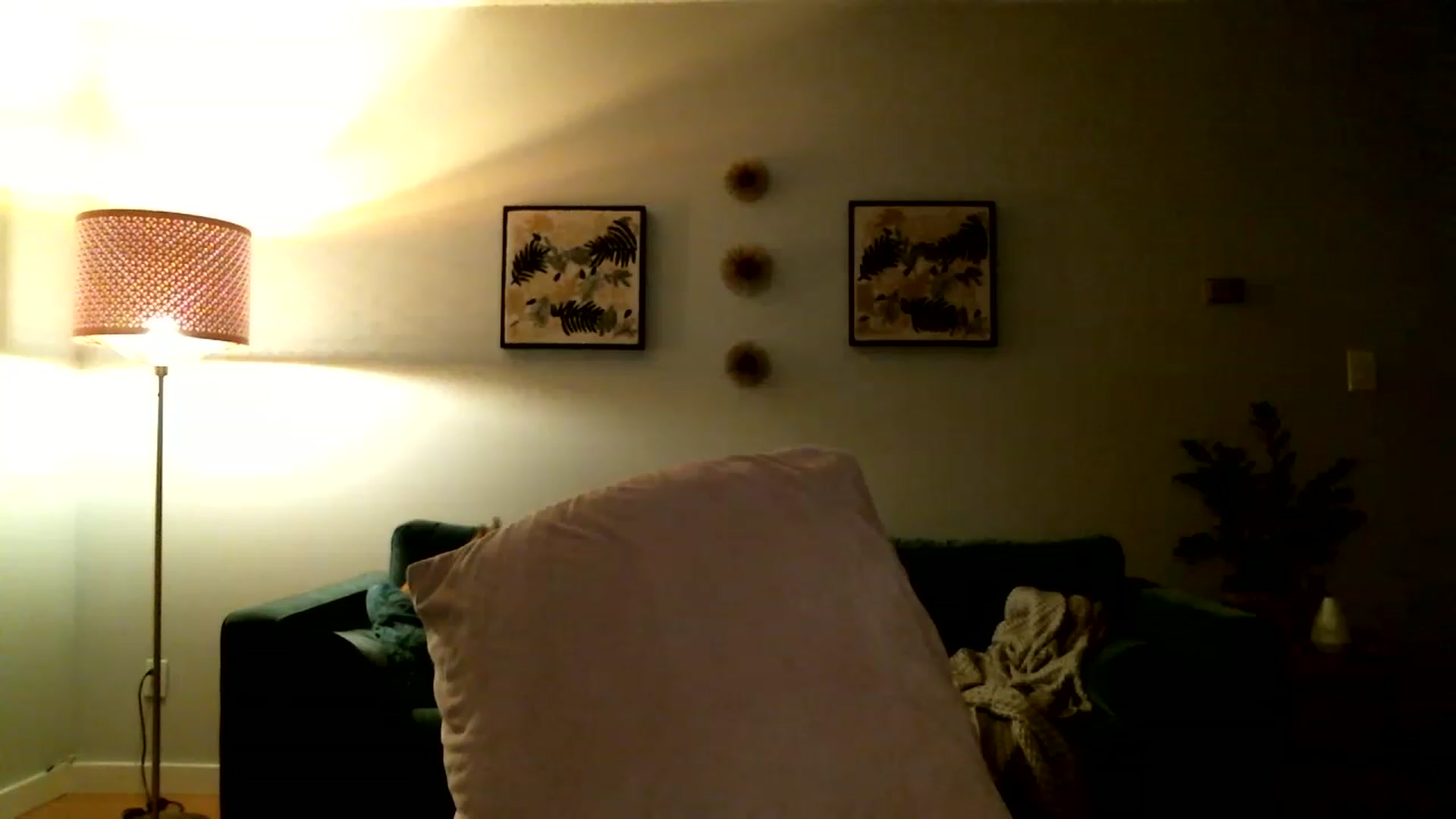 Gallery image thumbnail from KineticKoa's myfreecams stream on, 03/15/2023, 07:27 image 6 of 20