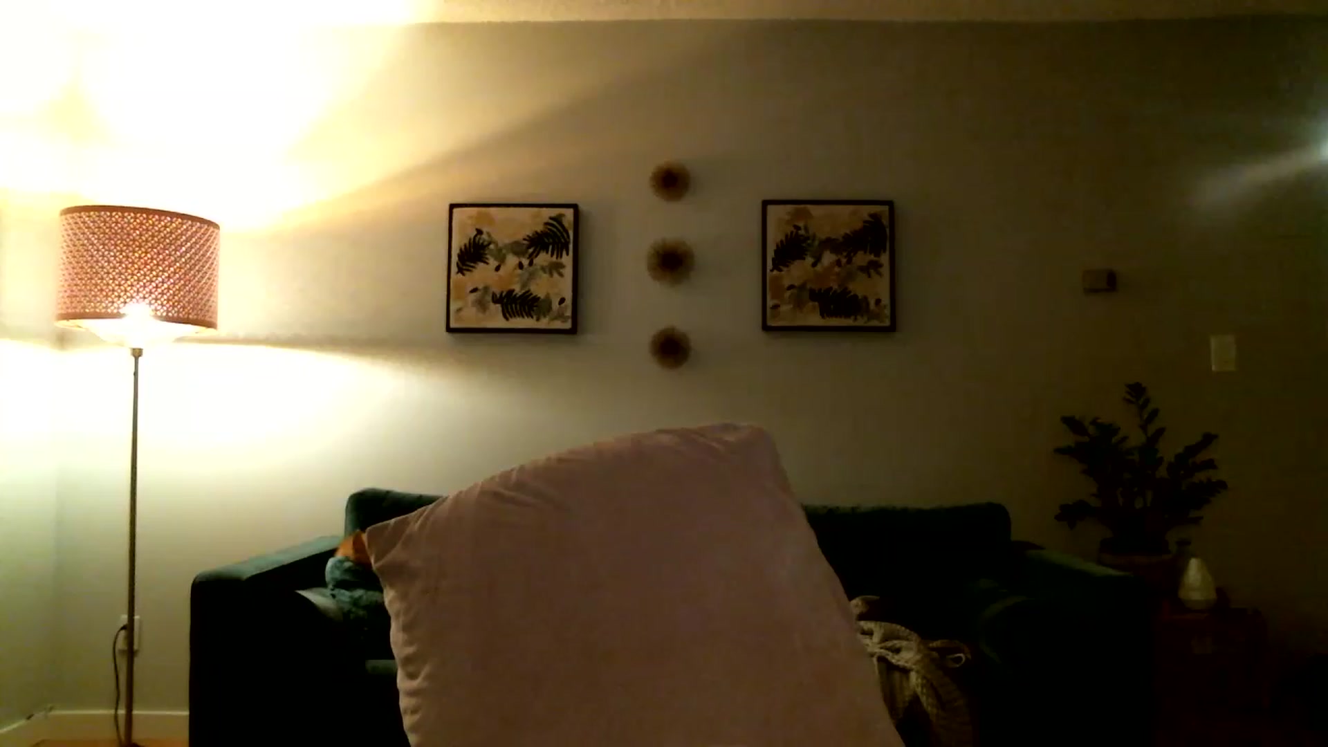 Gallery image thumbnail from KineticKoa's myfreecams stream on, 03/15/2023, 07:27 image 14 of 20