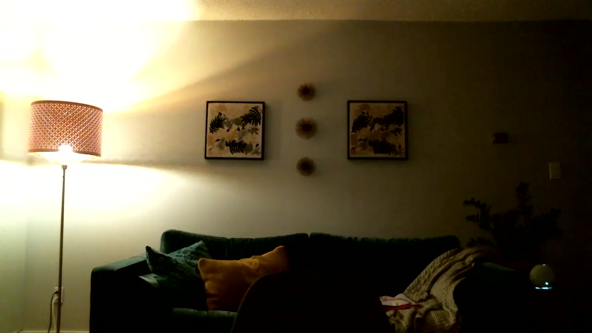 Gallery image thumbnail from KineticKoa's myfreecams stream on, 04/03/2023, 05:16 image 13 of 20