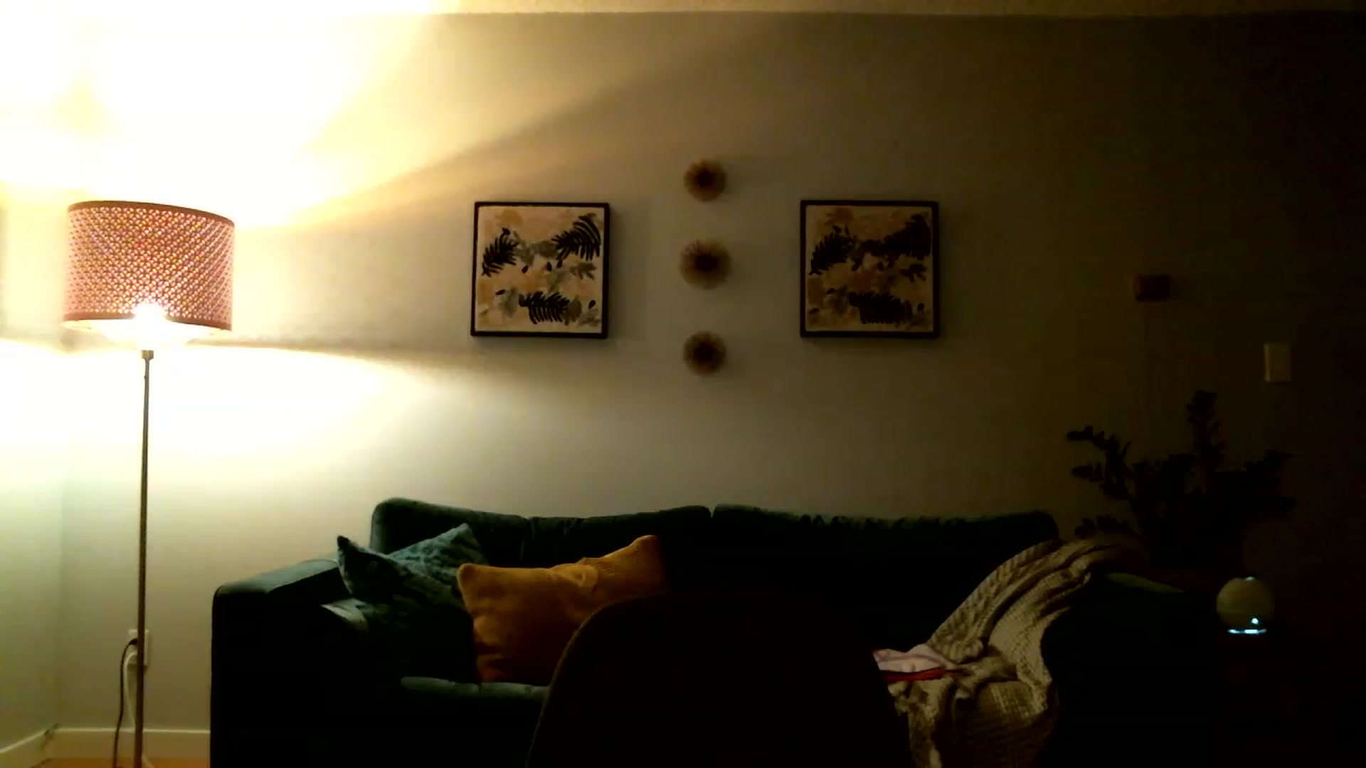 Gallery image thumbnail from KineticKoa's myfreecams stream on, 04/03/2023, 05:16 image 10 of 20
