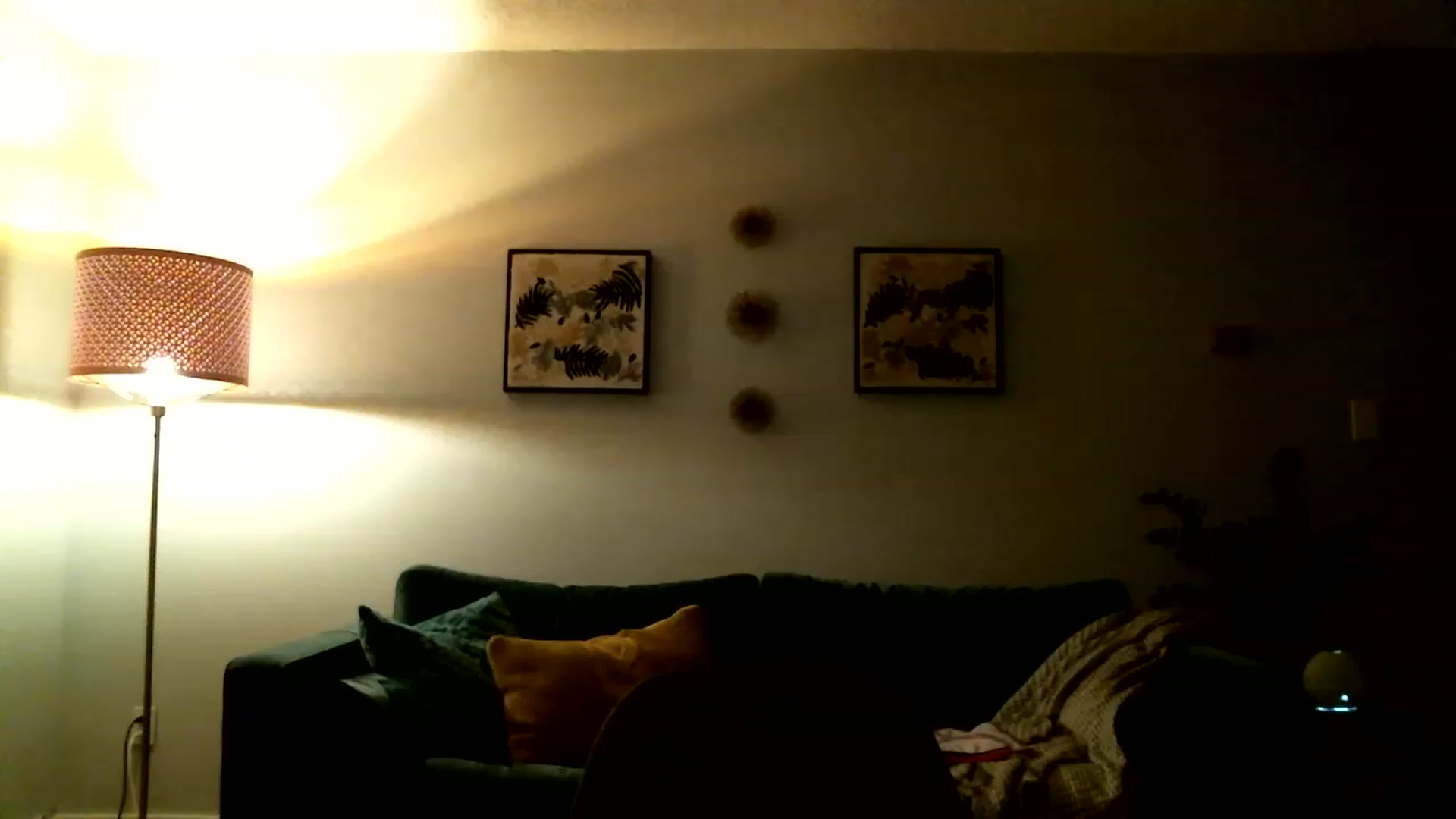 Gallery image thumbnail from KineticKoa's myfreecams stream on, 04/03/2023, 05:16 image 16 of 20