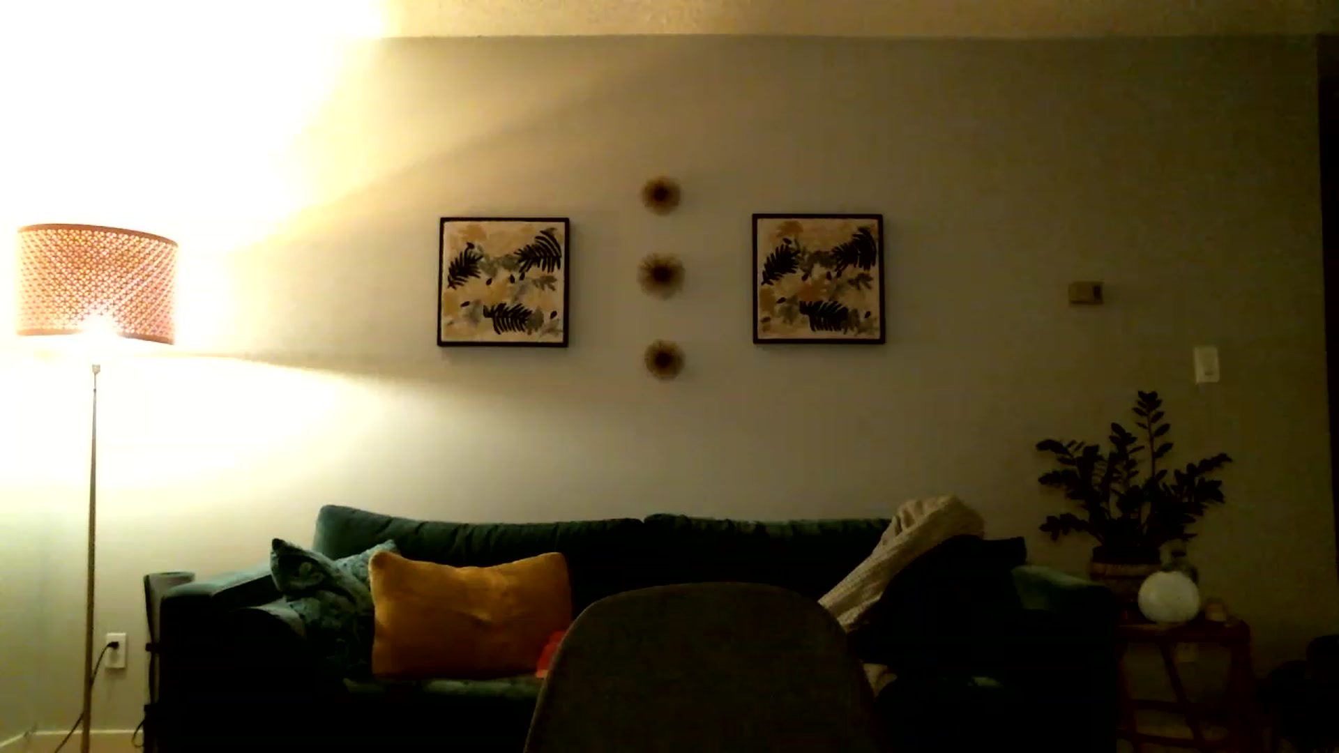 Gallery image thumbnail from KineticKoa's myfreecams stream on, 05/09/2023, 08:03 image 17 of 20