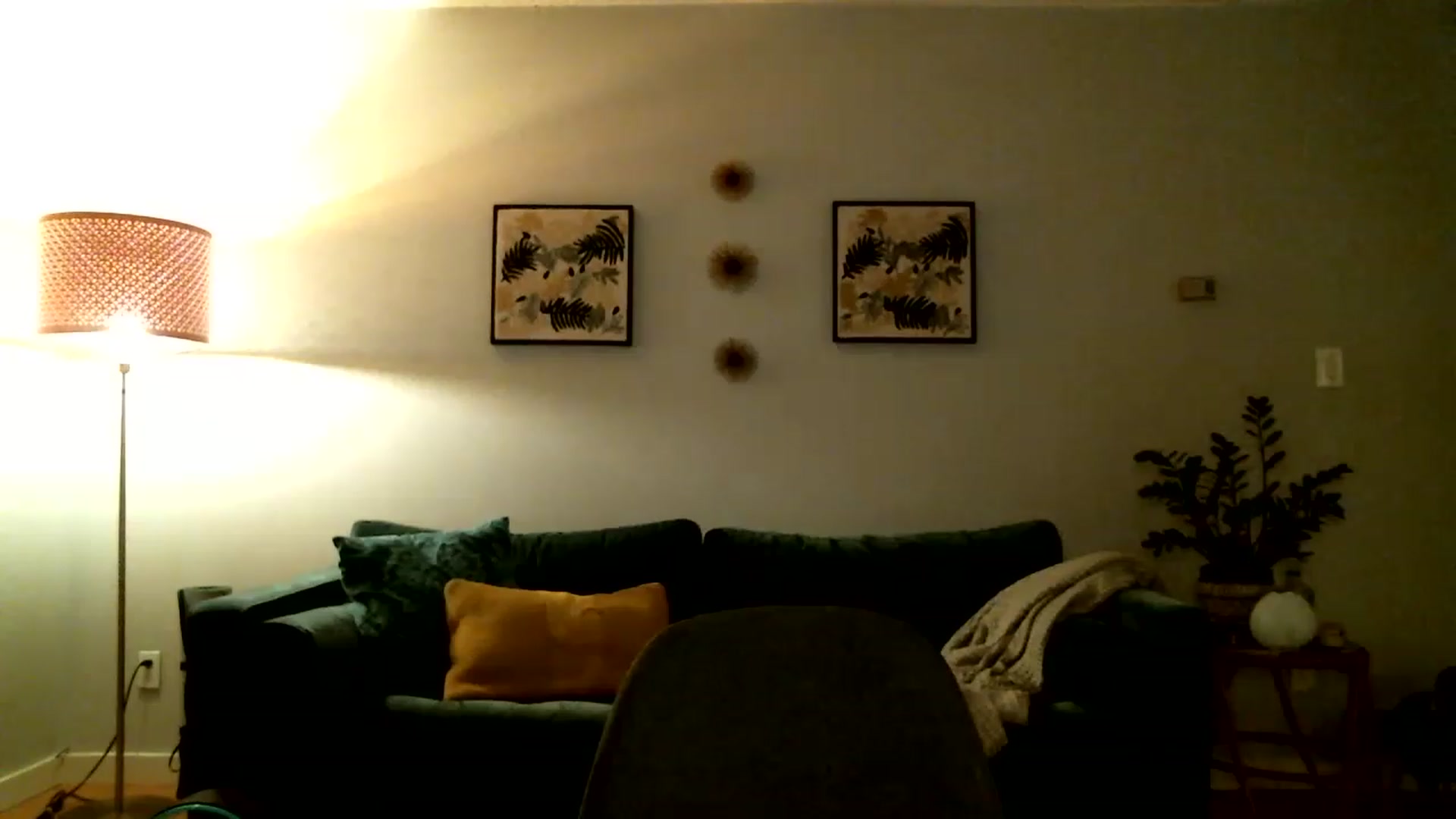 Gallery image thumbnail from KineticKoa's myfreecams stream on, 05/11/2023, 07:58 image 2 of 20