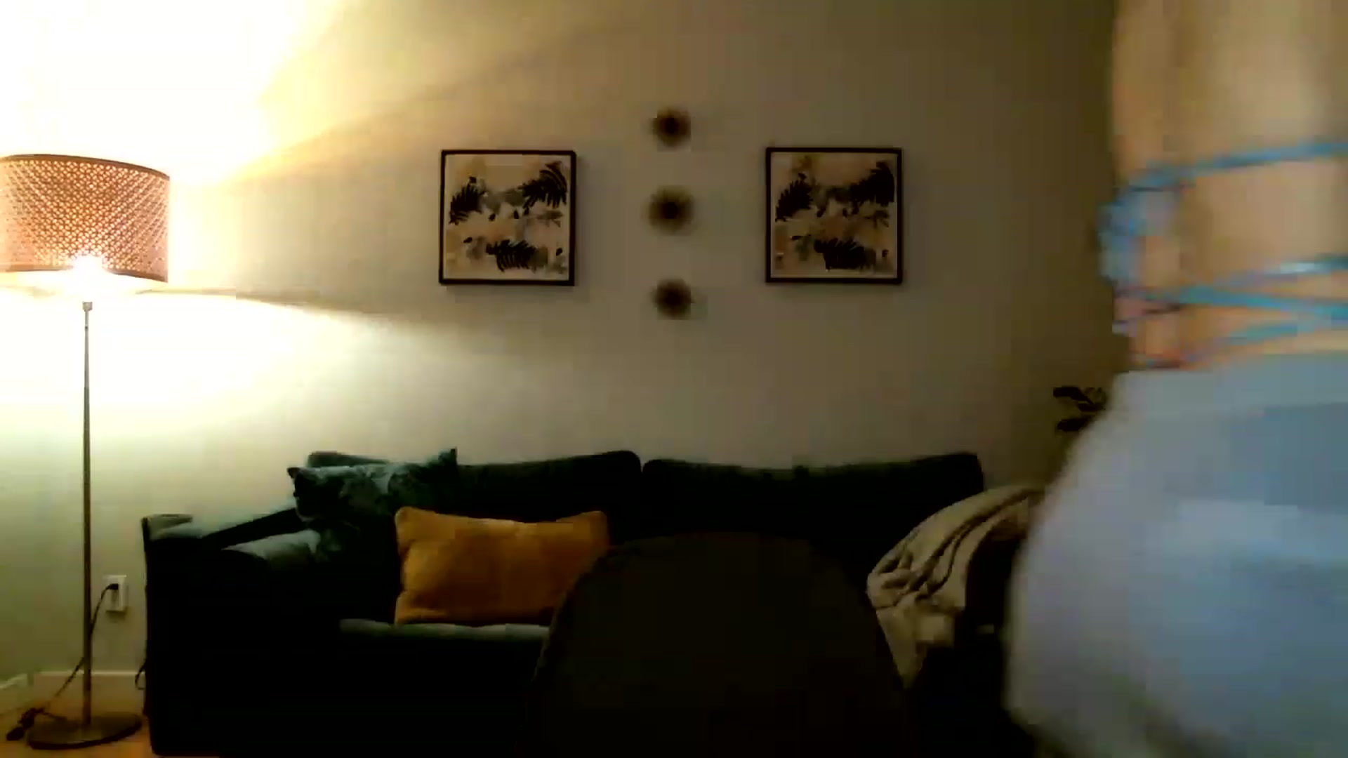 Gallery image thumbnail from KineticKoa's myfreecams stream on, 05/11/2023, 07:58 image 18 of 20