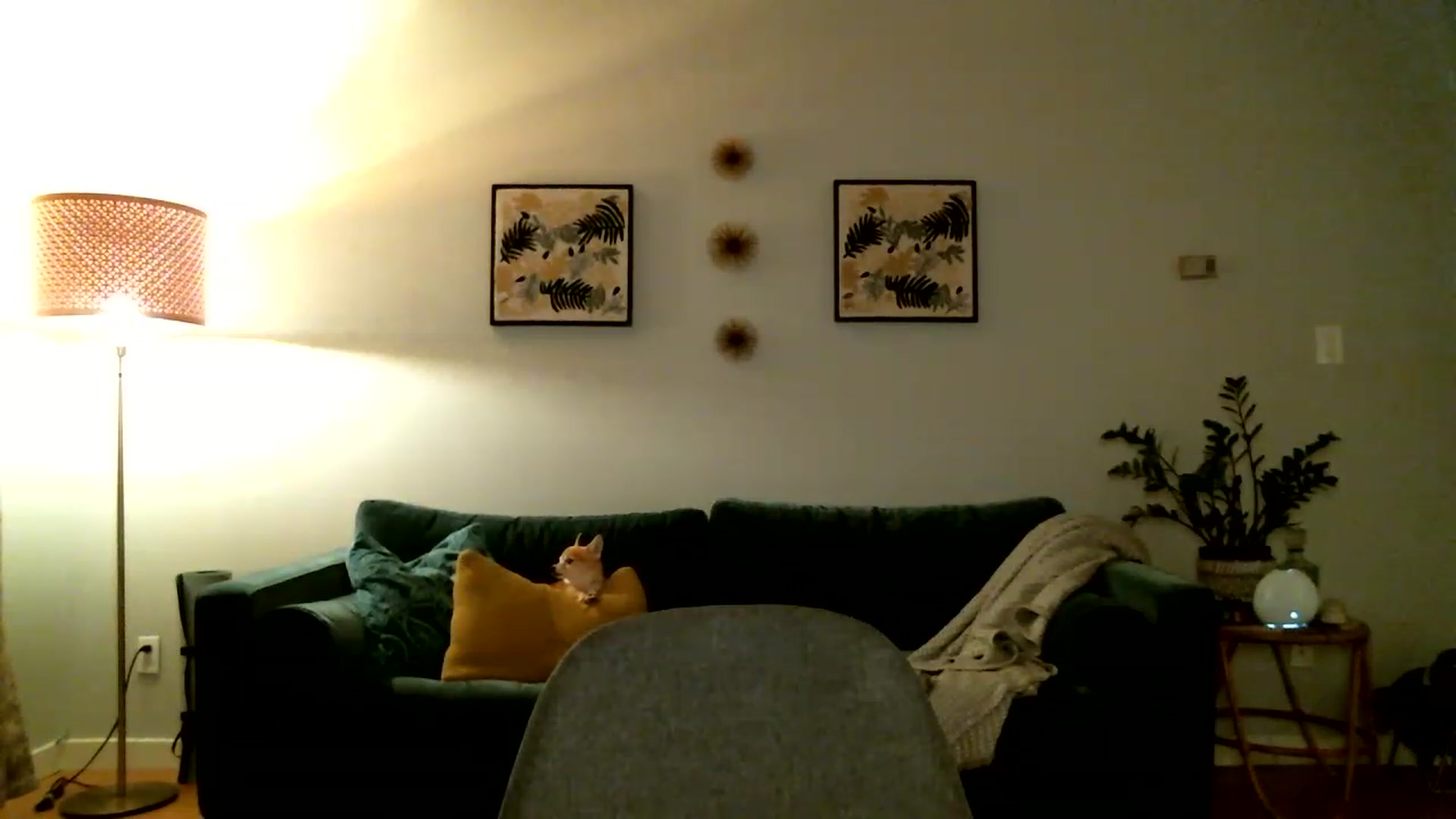 Gallery image thumbnail from KineticKoa's myfreecams stream on, 05/15/2023, 04:38 image 17 of 20