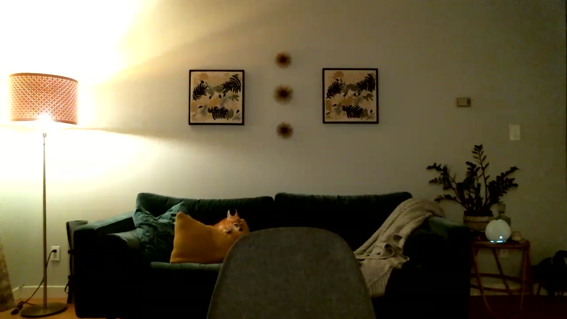 Gallery image thumbnail from KineticKoa's myfreecams stream on, 05/15/2023, 04:38 image 16 of 20
