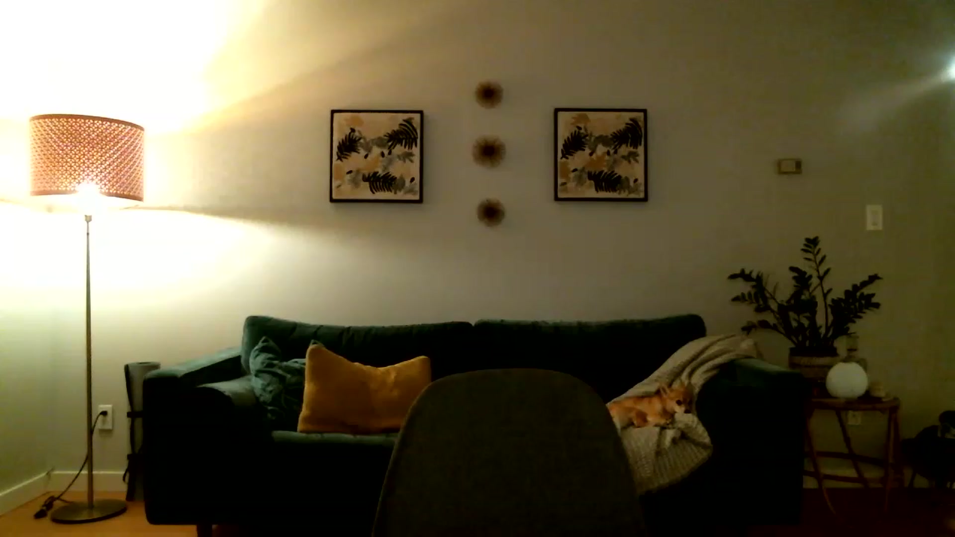 Gallery image thumbnail from KineticKoa's myfreecams stream on, 05/17/2023, 05:55 image 17 of 20