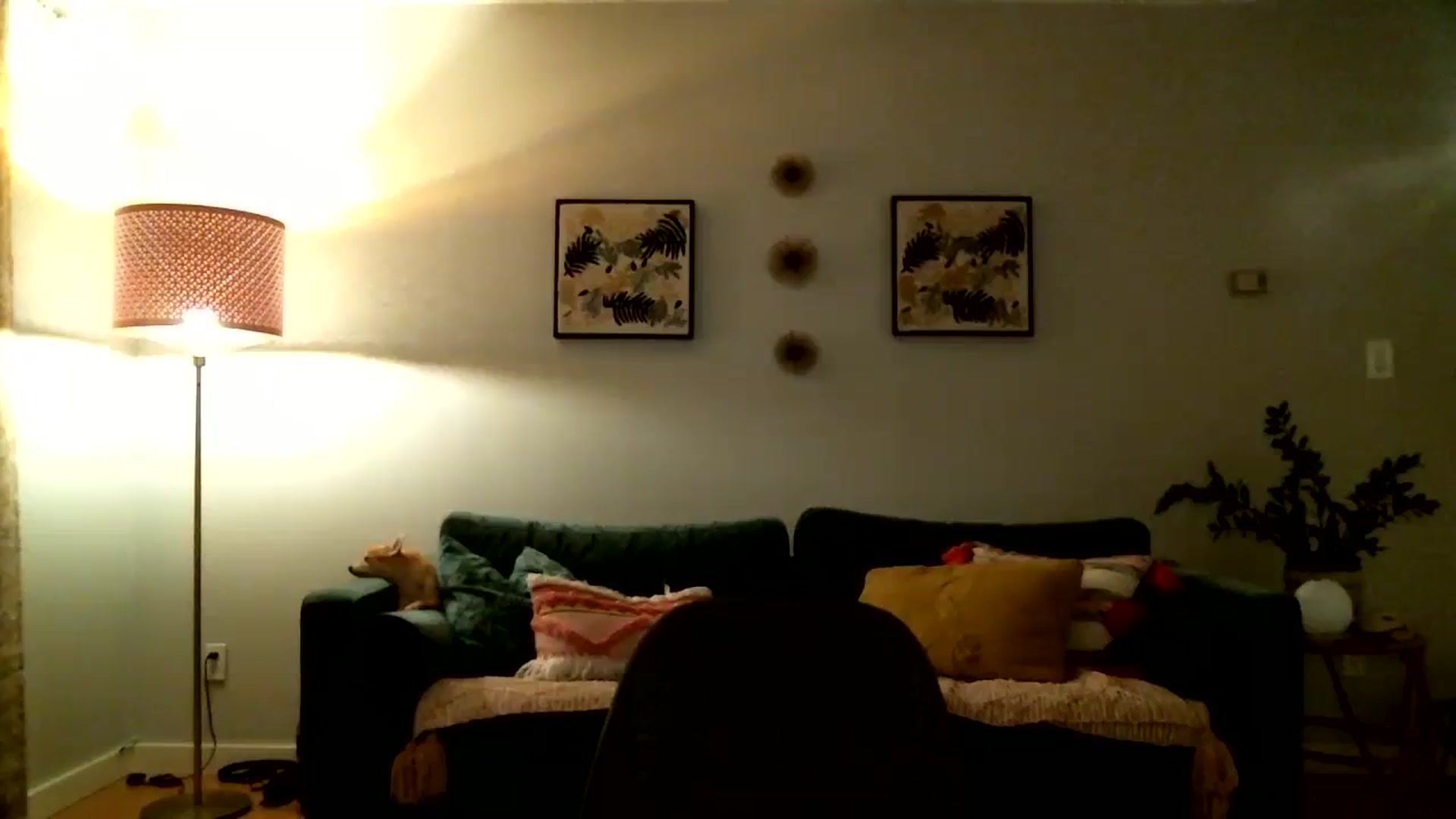 Gallery image thumbnail from KineticKoa's myfreecams stream on, 07/30/2023, 07:44 image 17 of 20