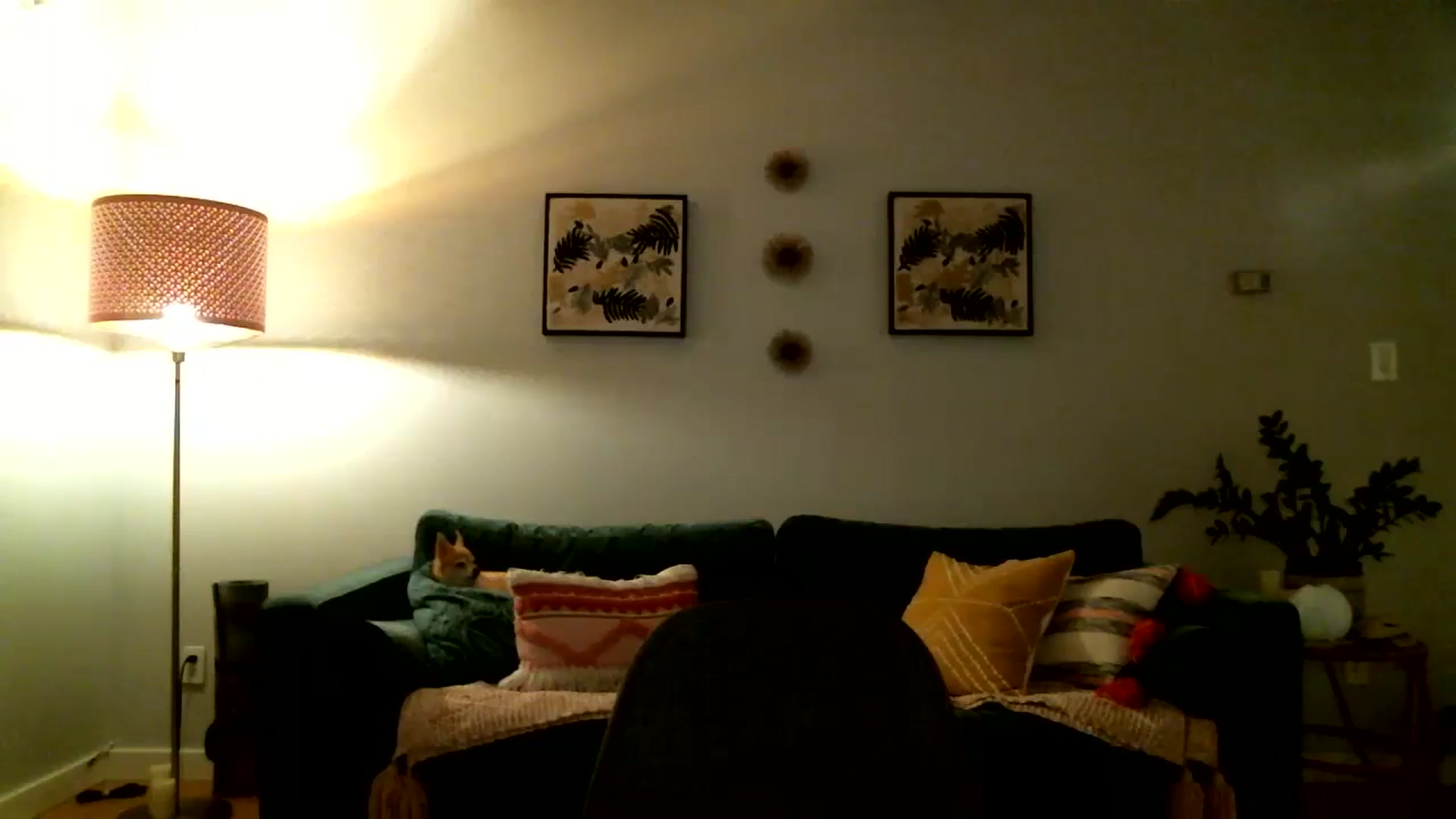 Gallery image thumbnail from KineticKoa's myfreecams stream on, 08/29/2023, 04:55 image 20 of 20