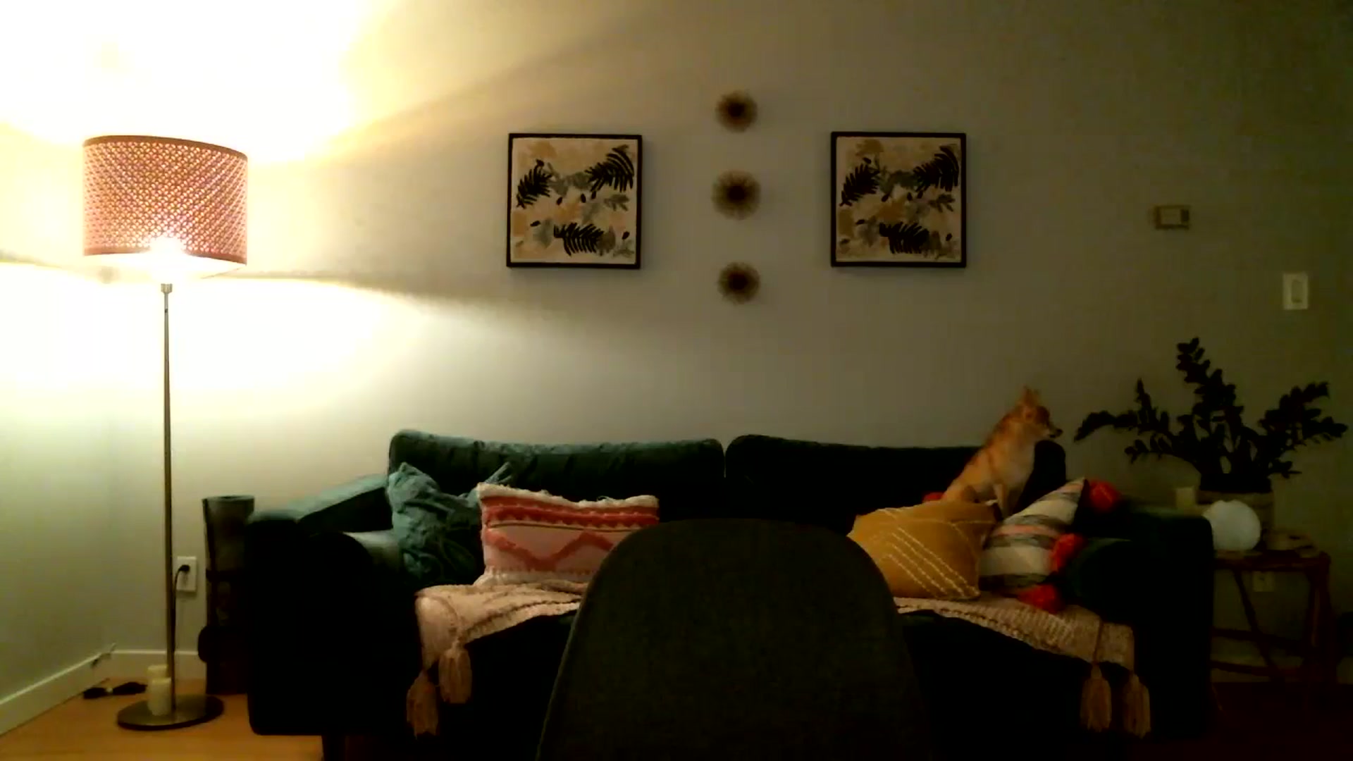 Gallery image thumbnail from KineticKoa's myfreecams stream on, 08/29/2023, 07:29 image 18 of 20