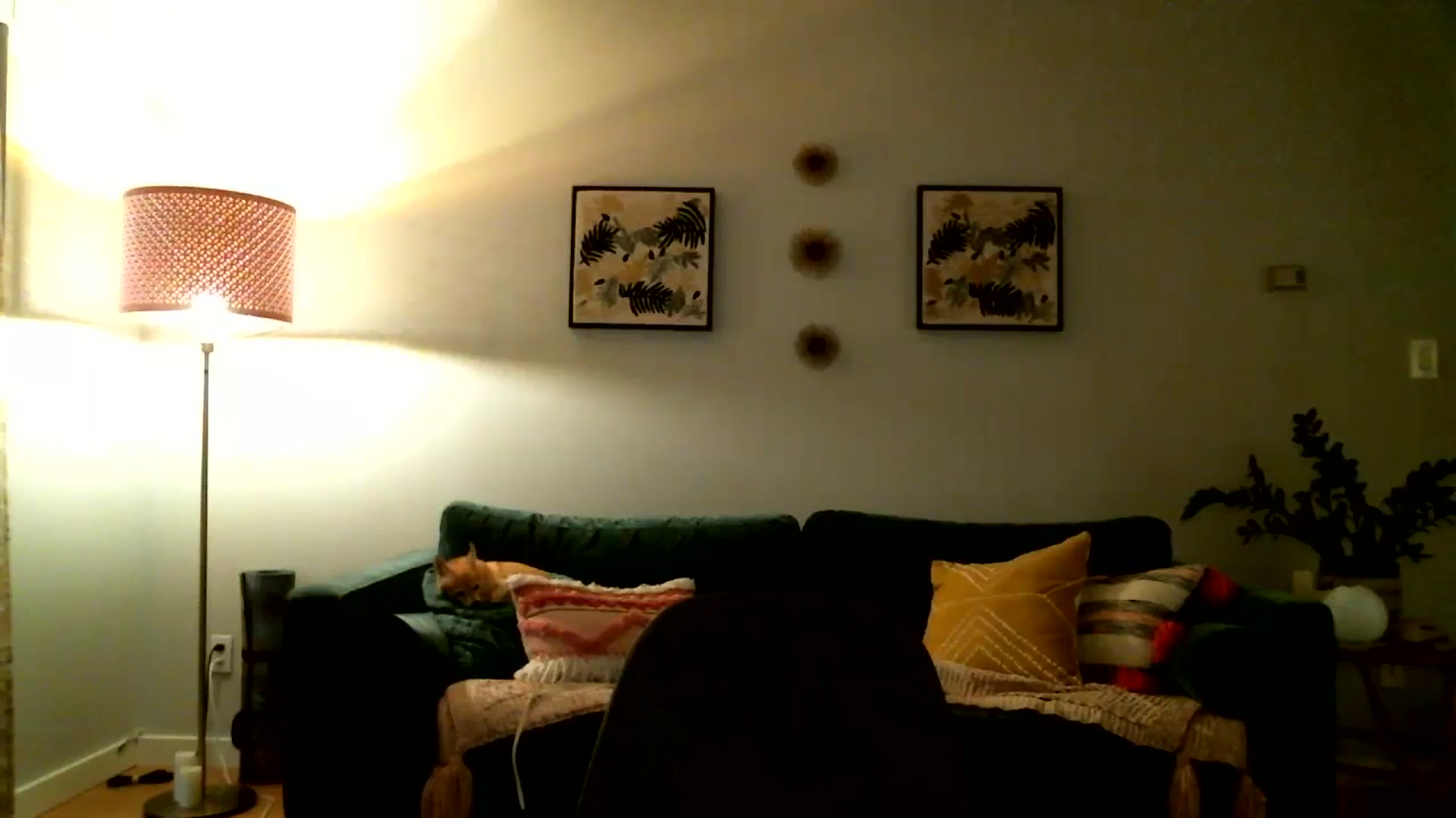 Gallery image thumbnail from KineticKoa's myfreecams stream on, 08/30/2023, 02:52 image 14 of 20