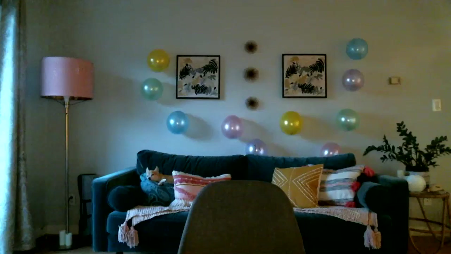 Gallery image thumbnail from KineticKoa's myfreecams stream on, 09/04/2023, 02:55 image 20 of 20