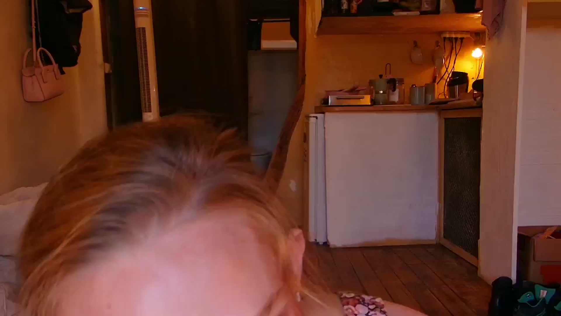 Gallery image thumbnail from Kinkywander's myfreecams stream on, 07/28/2024, 20:36 image 12 of 20